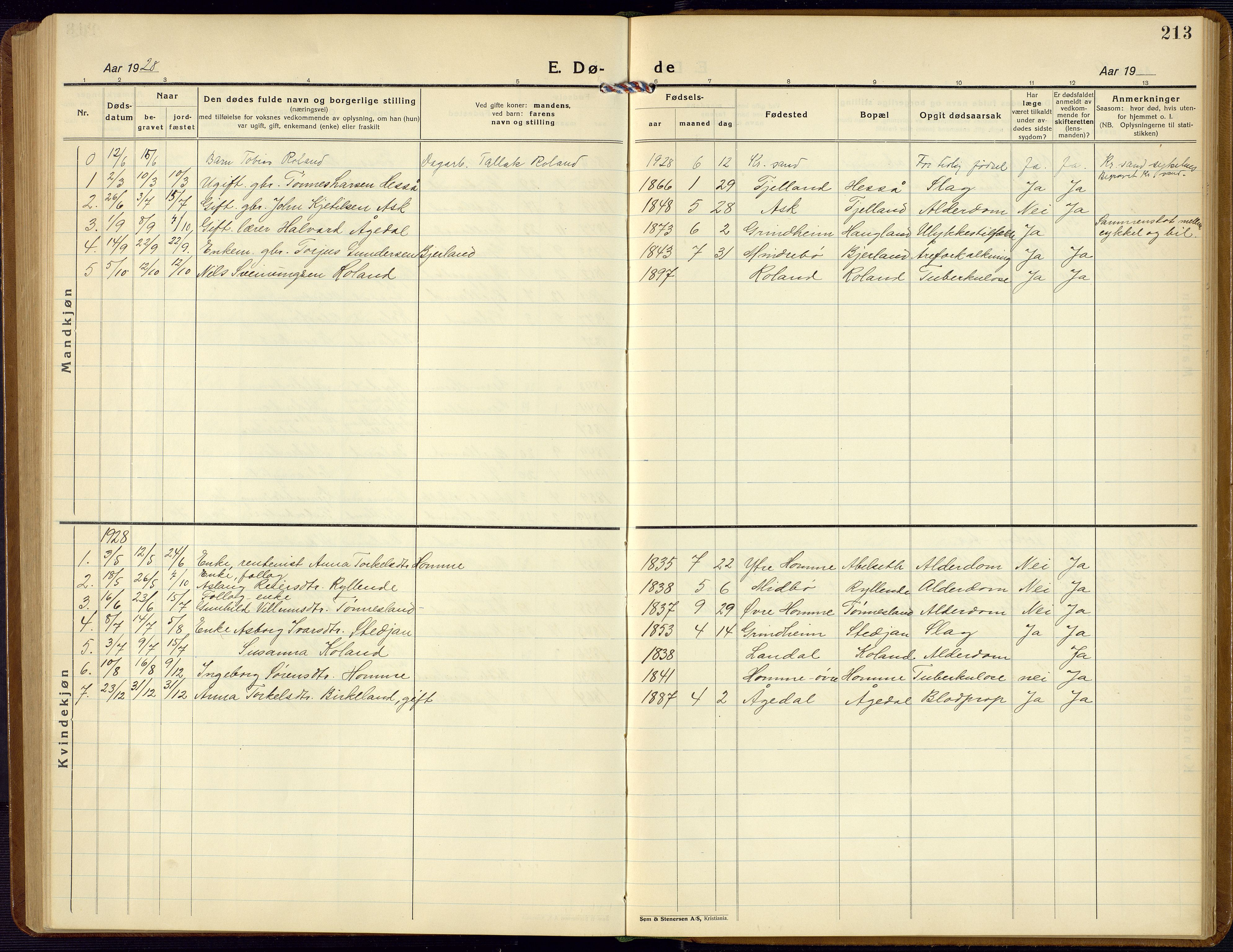 Bjelland sokneprestkontor, AV/SAK-1111-0005/F/Fb/Fba/L0006: Klokkerbok nr. B 6, 1923-1956, s. 213