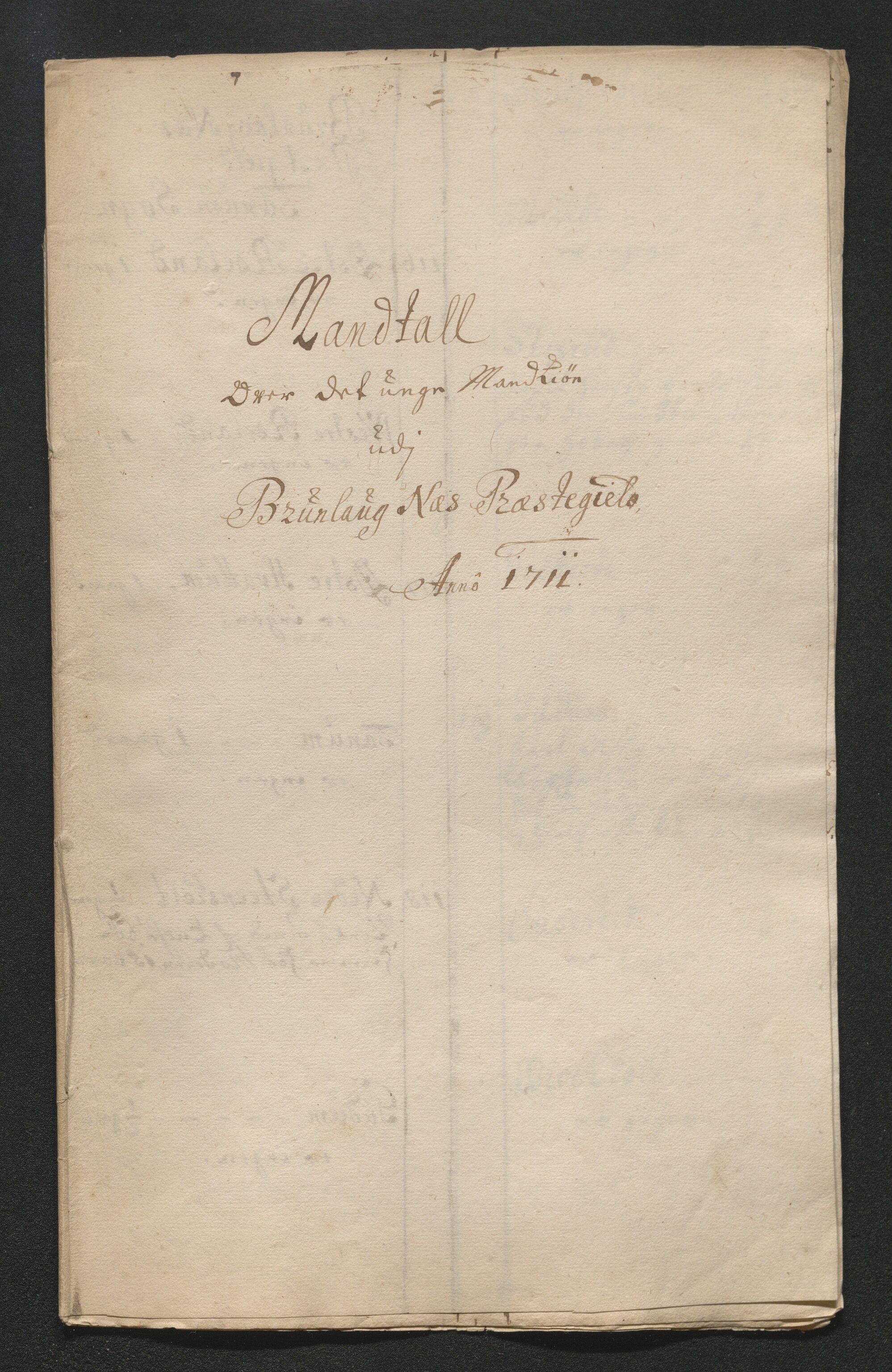 Larvik grevskap, SAKO/A-1056/F/Ff/Ffa/L0001: Ruller og manntall, 1708-1734, s. 87