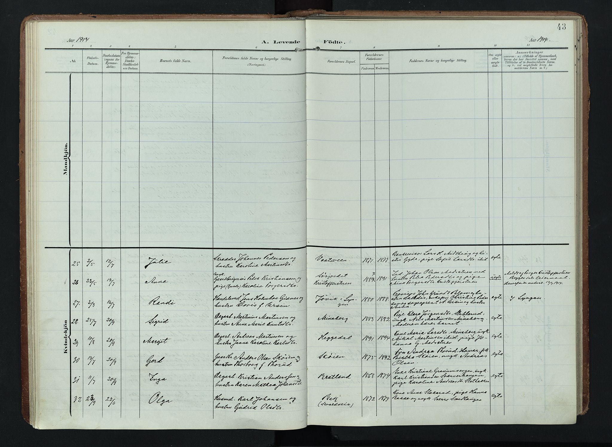 Søndre Land prestekontor, AV/SAH-PREST-122/K/L0005: Ministerialbok nr. 5, 1905-1914, s. 43