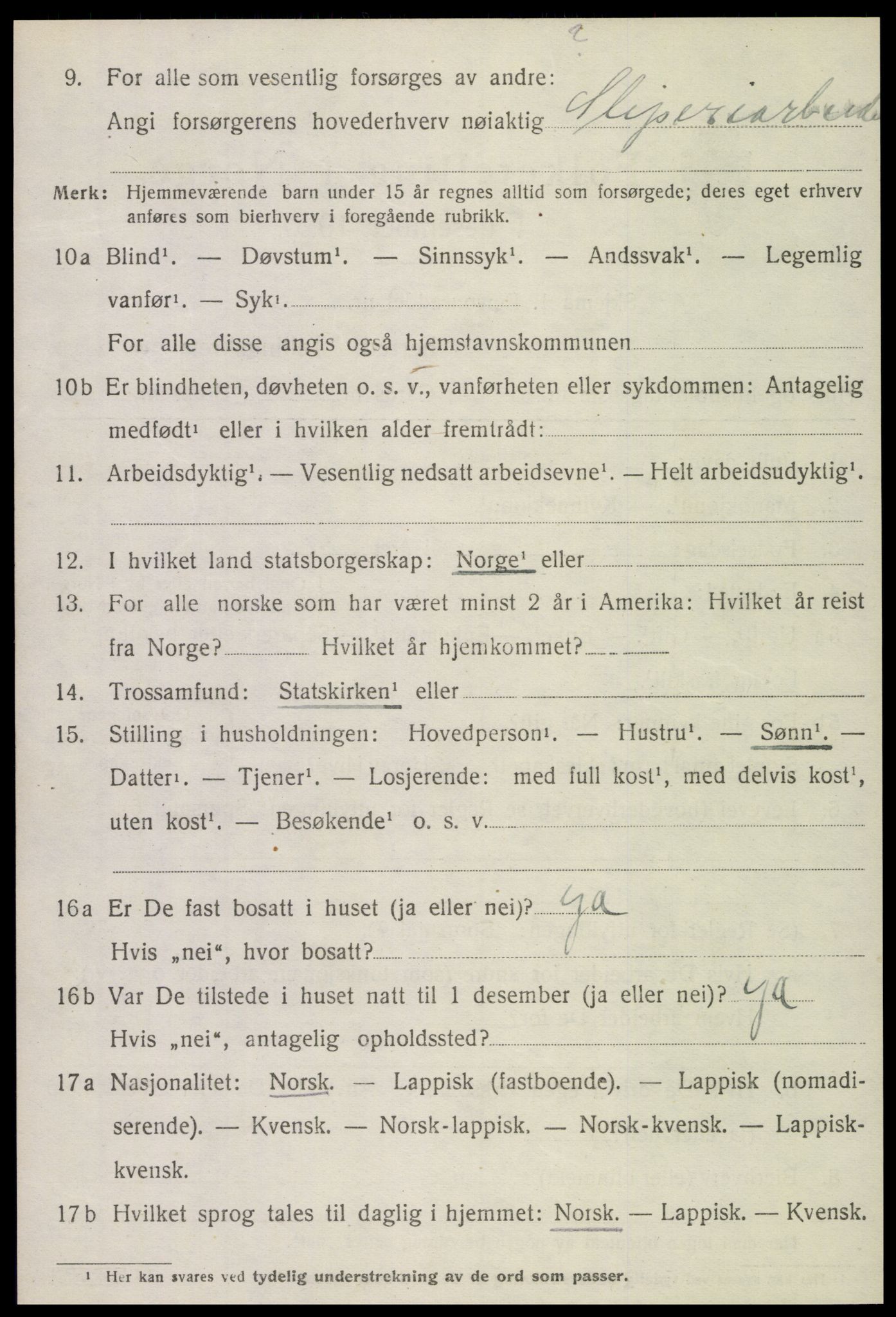 SAT, Folketelling 1920 for 1733 Egge herred, 1920, s. 1313