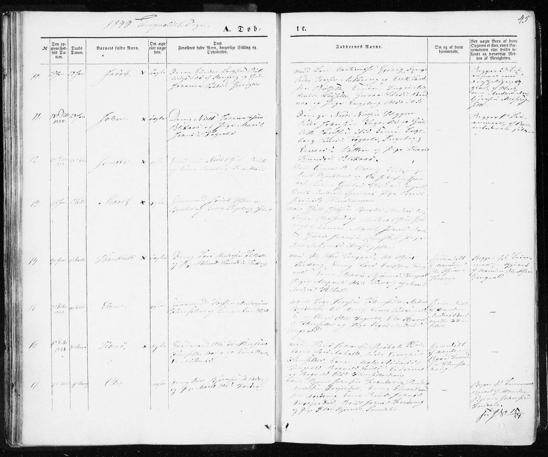 Ministerialprotokoller, klokkerbøker og fødselsregistre - Møre og Romsdal, AV/SAT-A-1454/586/L0984: Ministerialbok nr. 586A10, 1844-1856, s. 45