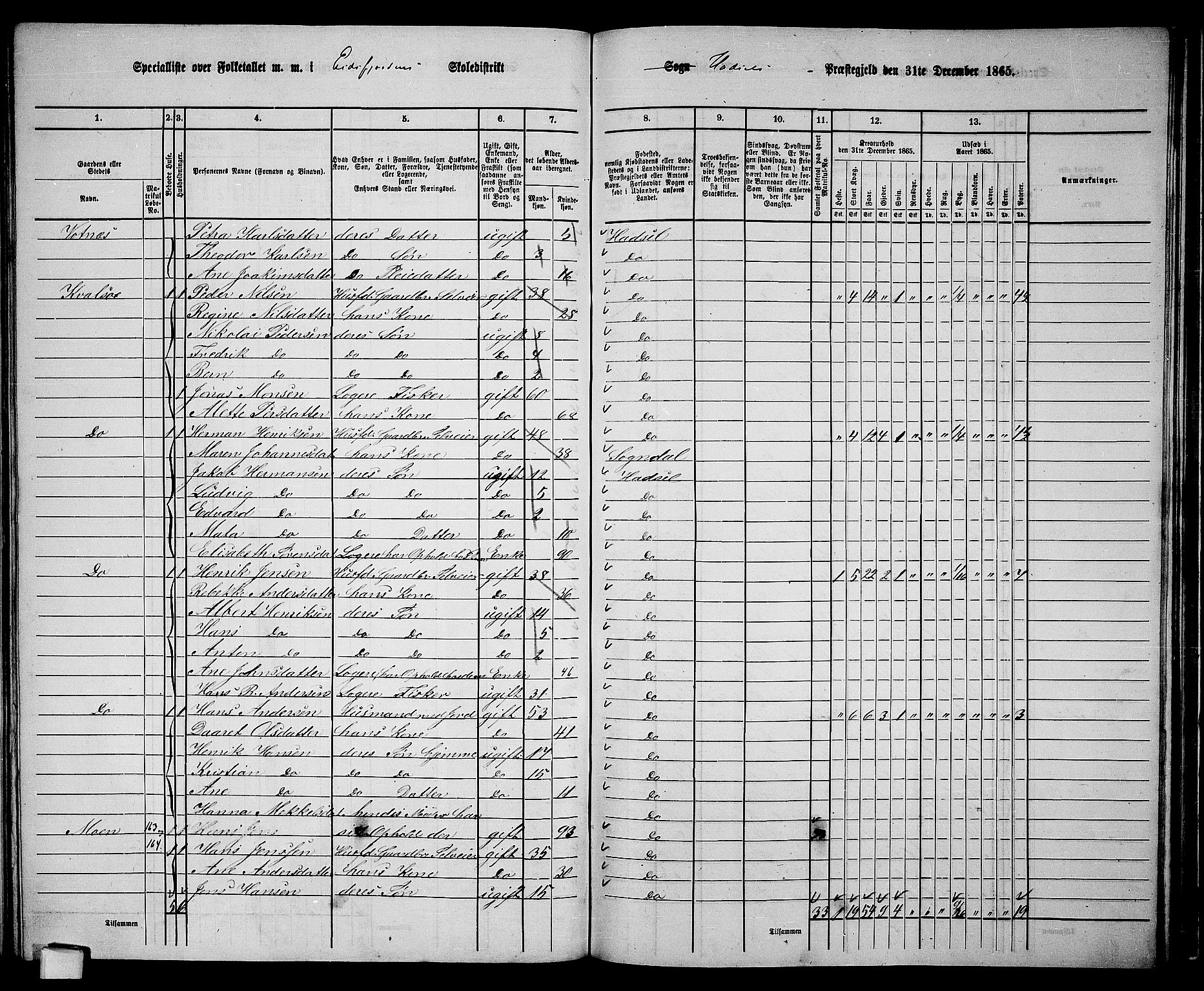RA, Folketelling 1865 for 1866P Hadsel prestegjeld, 1865, s. 133