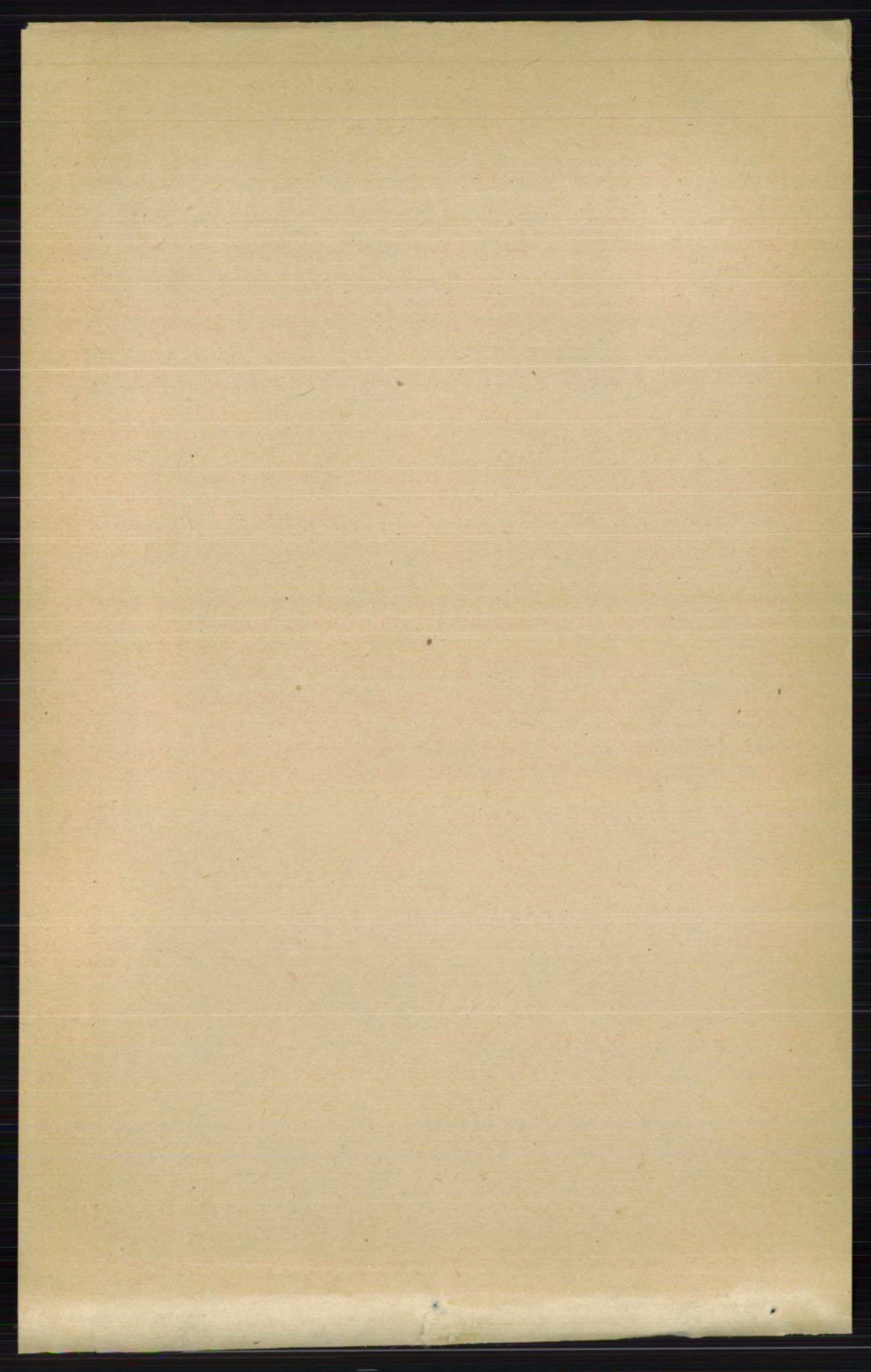RA, Folketelling 1891 for 0412 Ringsaker herred, 1891, s. 2417
