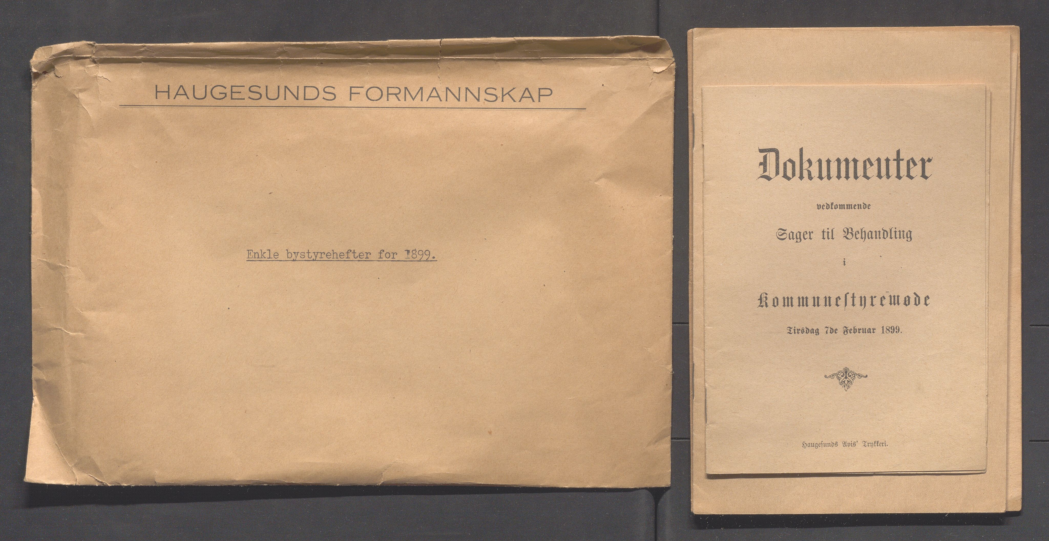 Haugesund kommune - Formannskapet og Bystyret, IKAR/A-740/A/Abb/L0001: Bystyreforhandlinger, 1889-1907, s. 223