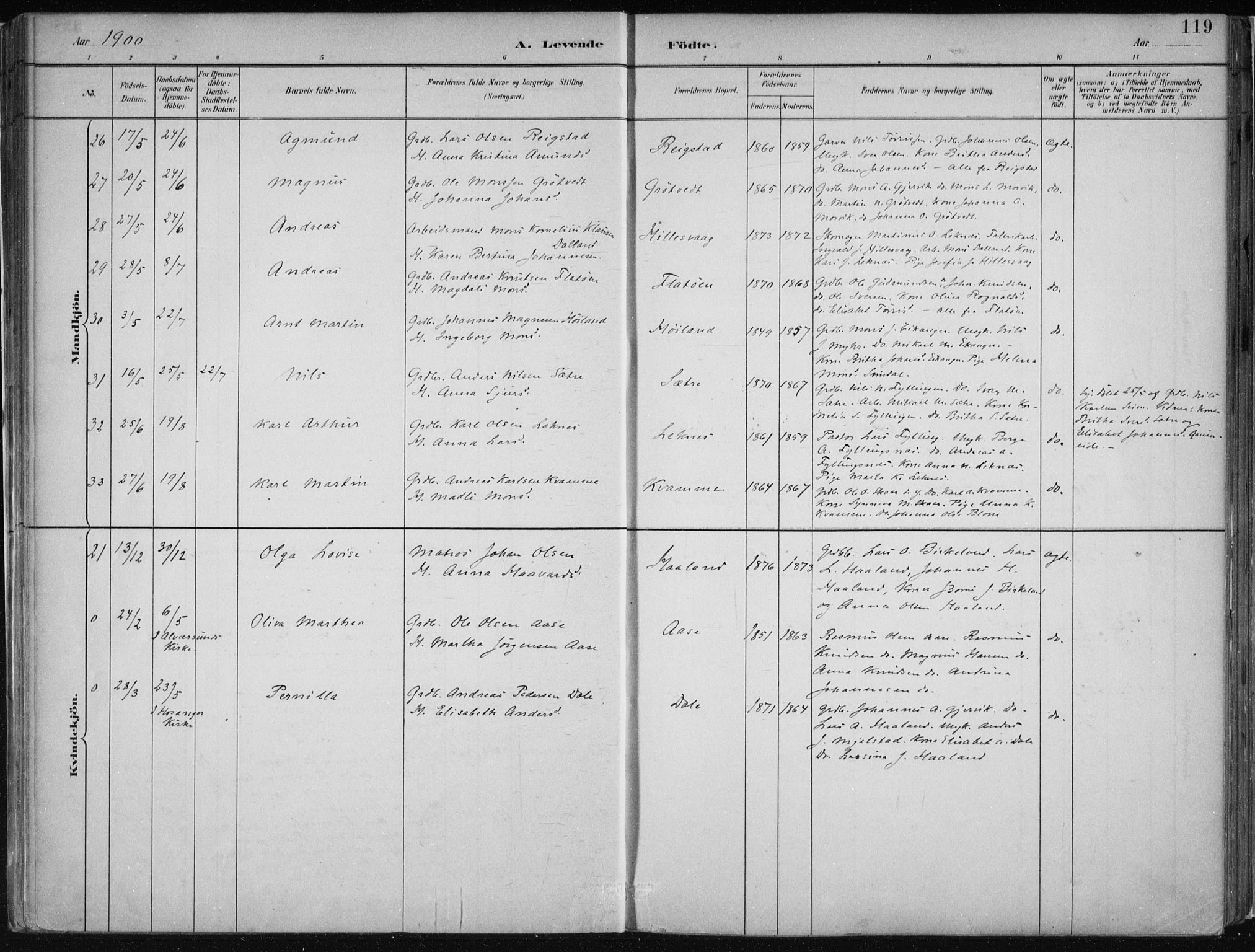 Hamre sokneprestembete, AV/SAB-A-75501/H/Ha/Haa/Haab/L0001: Ministerialbok nr. B  1, 1882-1905, s. 119