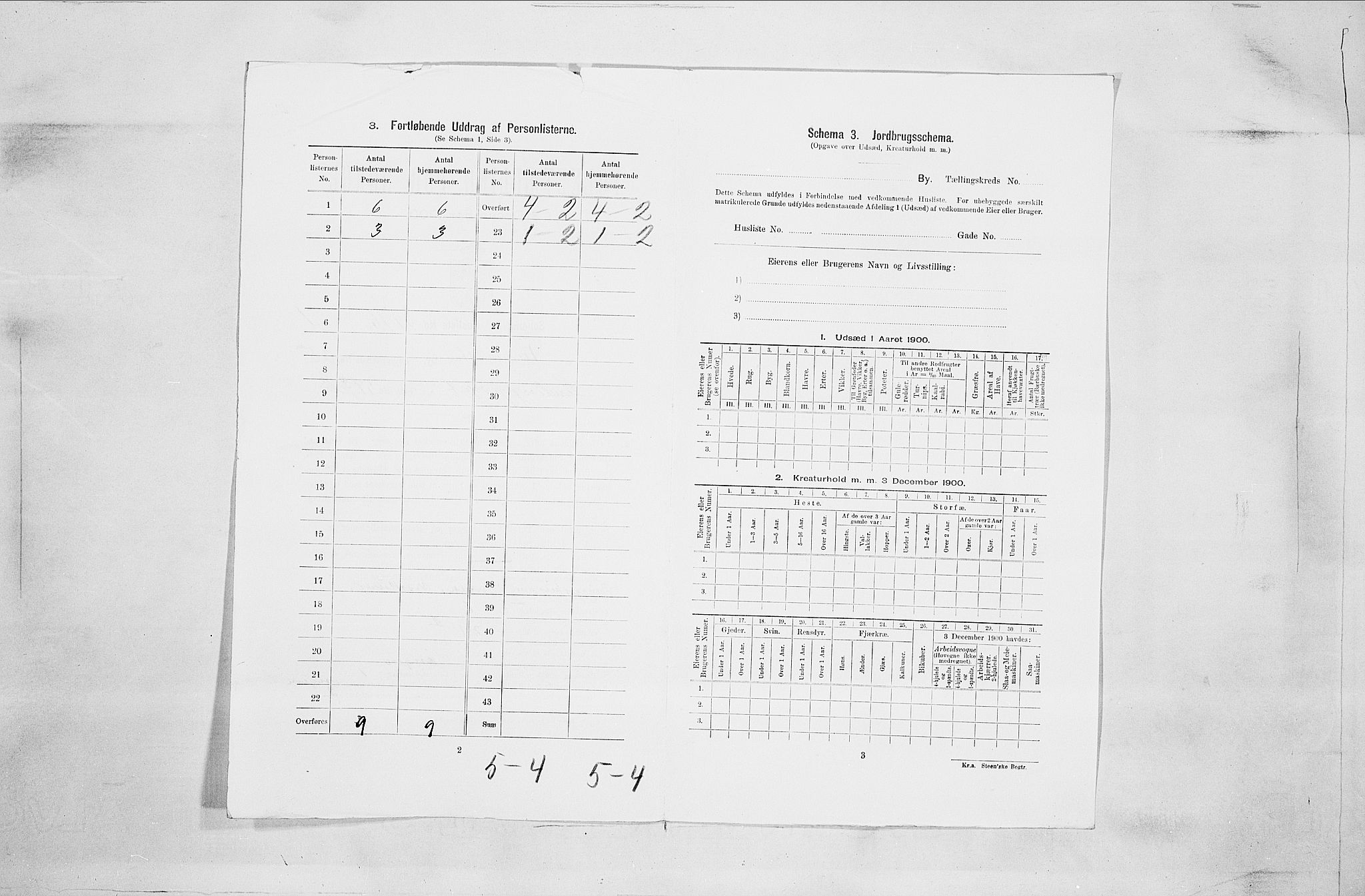 SAO, Folketelling 1900 for 0103 Fredrikstad kjøpstad, 1900