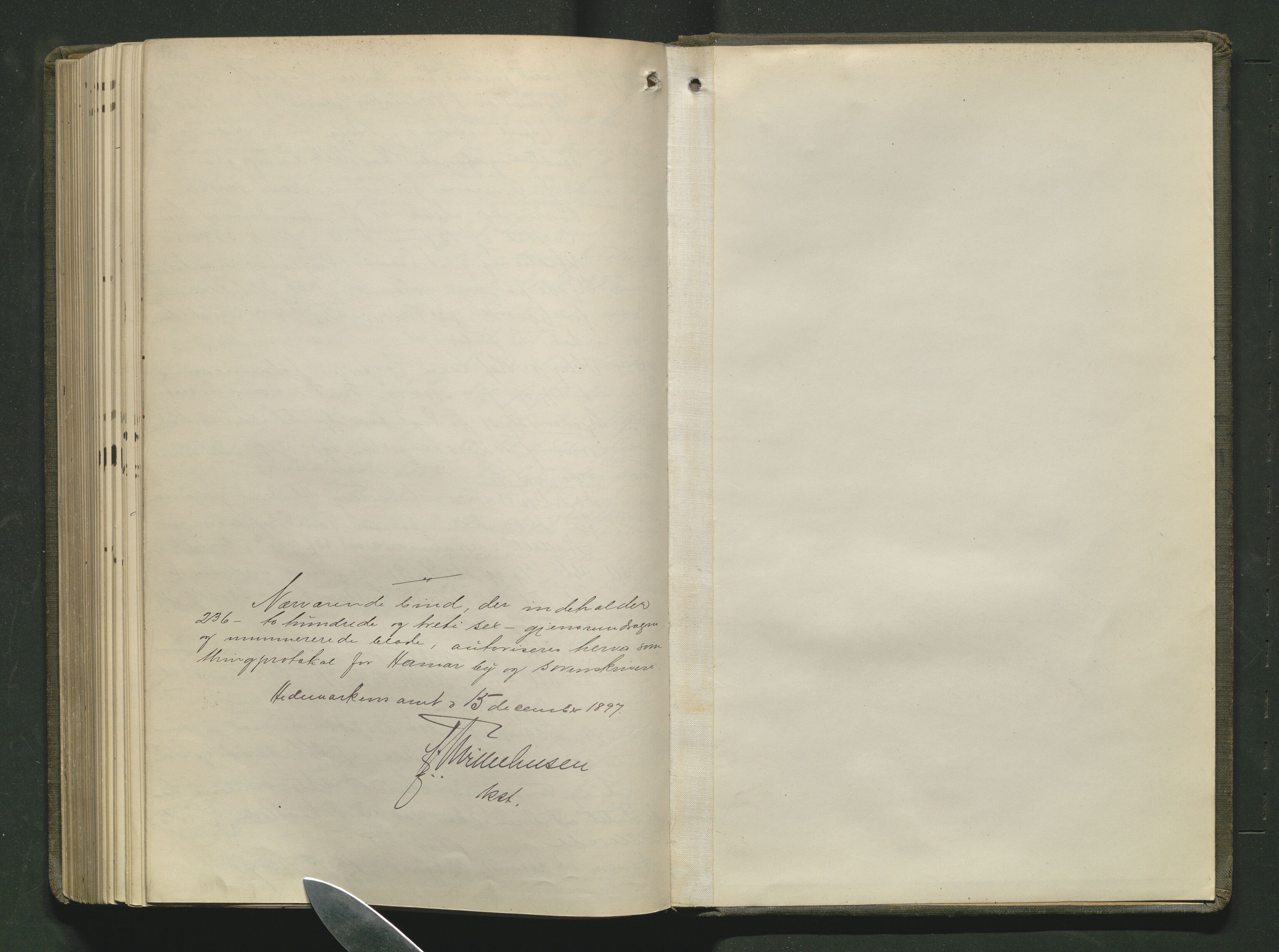 Hamar byfogd og byskriver, AV/SAH-TING-046/G/Gb/L0005: Bytingsprotokoll, 1898-1901, s. 236b