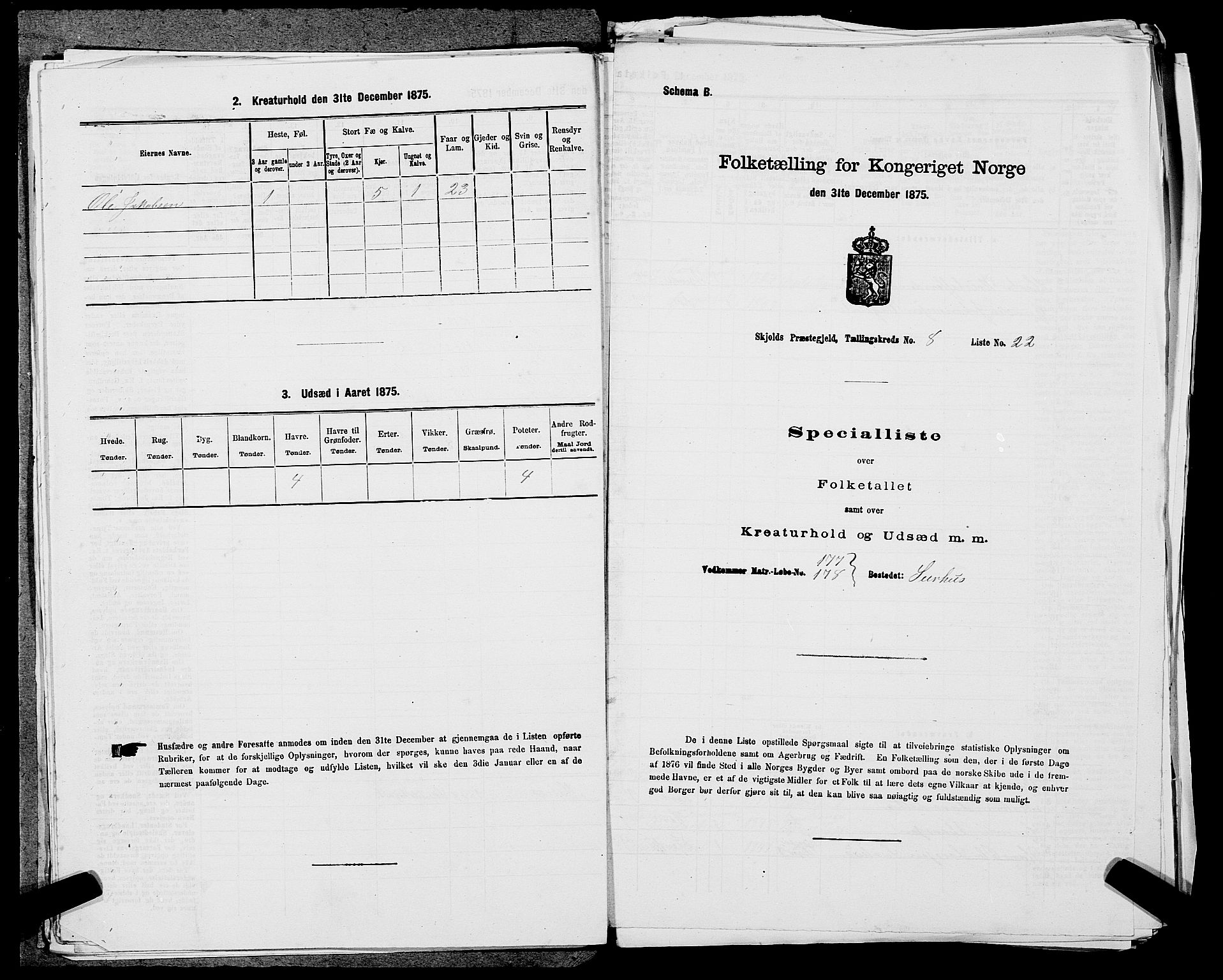 SAST, Folketelling 1875 for 1154P Skjold prestegjeld, 1875, s. 763