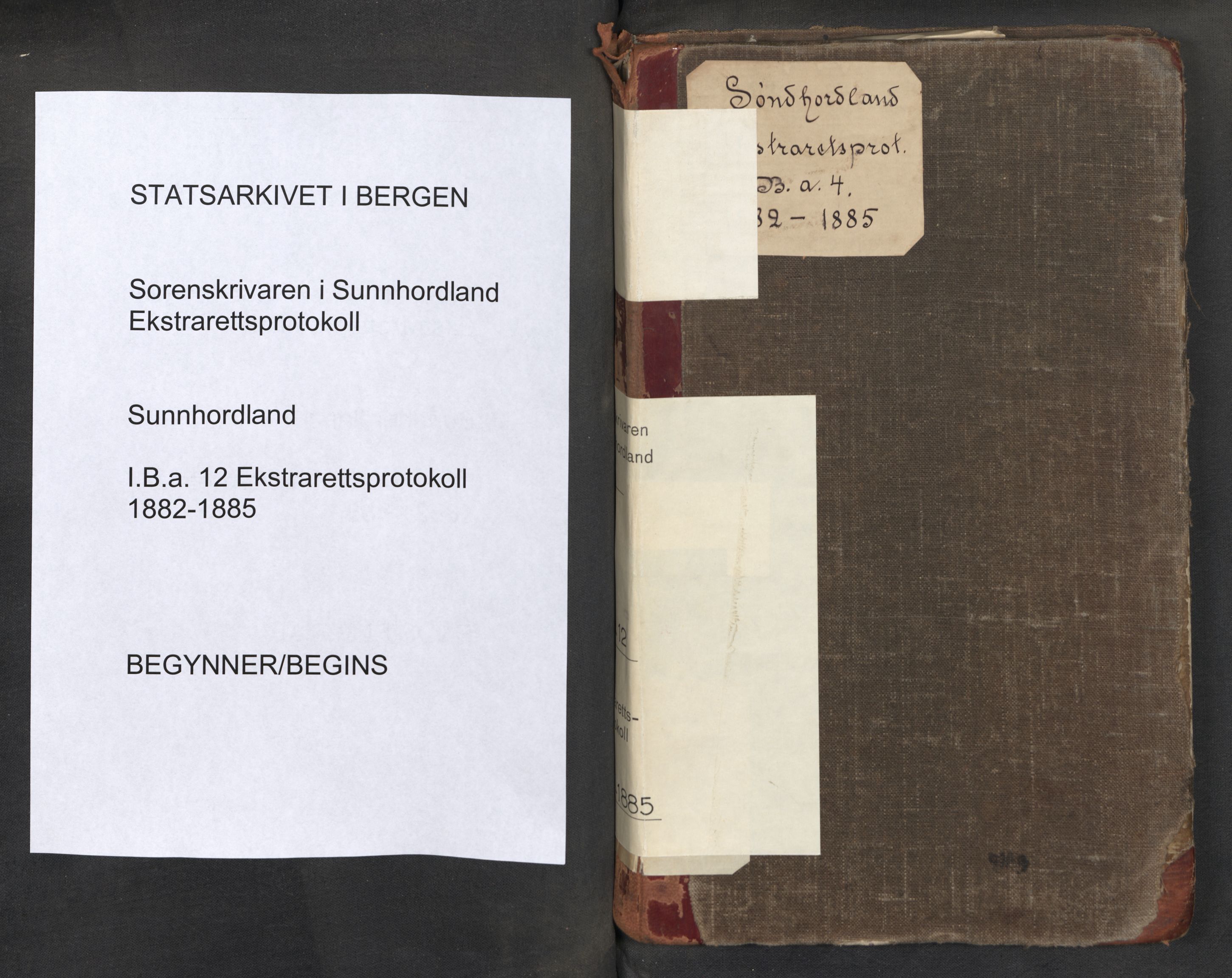 Sunnhordland sorenskrivar, SAB/A-2401/1/F/Fb/Fba/L0012: Ekstrarettsprotokoll, 1882-1885