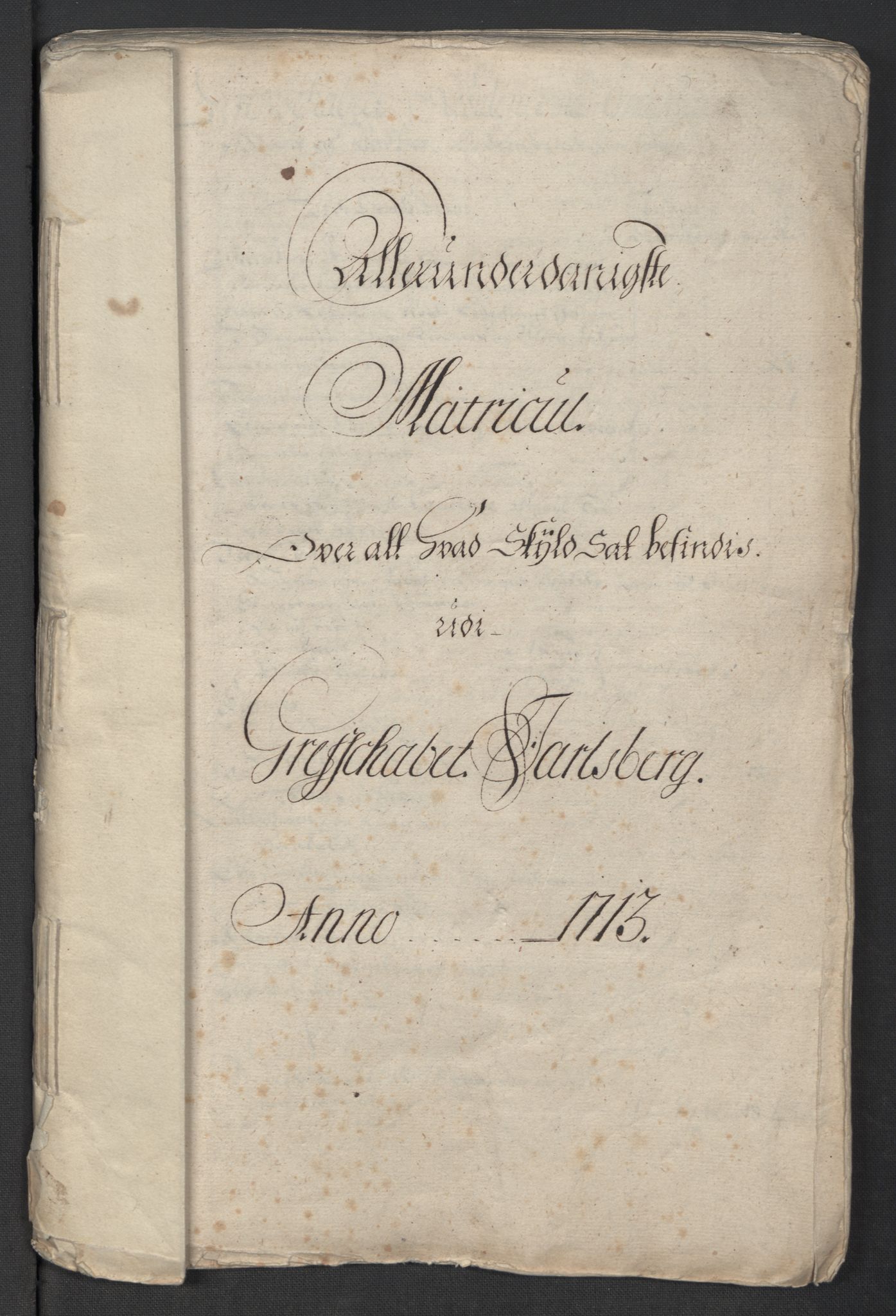 Rentekammeret inntil 1814, Reviderte regnskaper, Fogderegnskap, RA/EA-4092/R32/L1878: Fogderegnskap Jarlsberg grevskap, 1713, s. 14