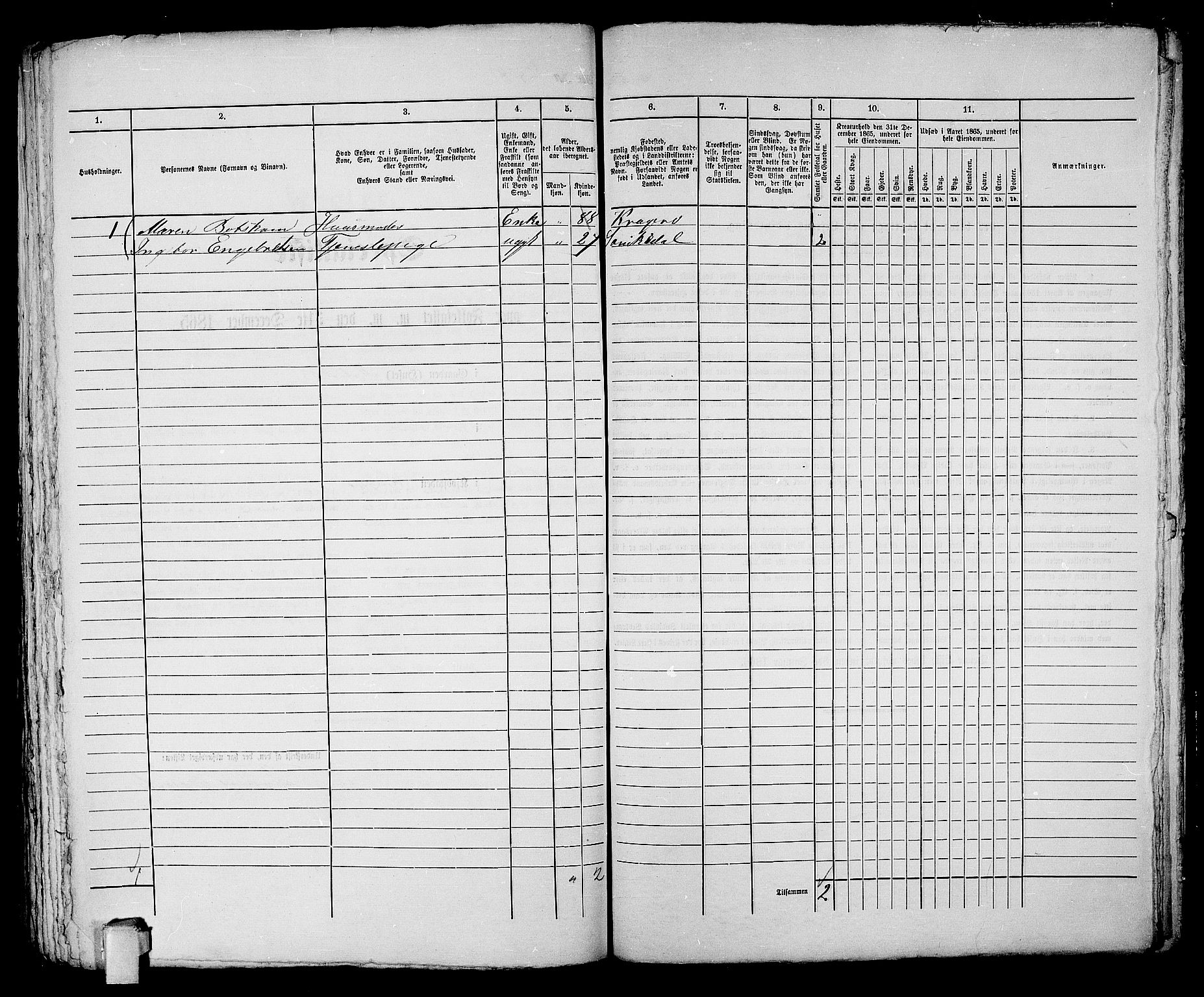 RA, Folketelling 1865 for 0801B Kragerø prestegjeld, Kragerø kjøpstad, 1865, s. 1133