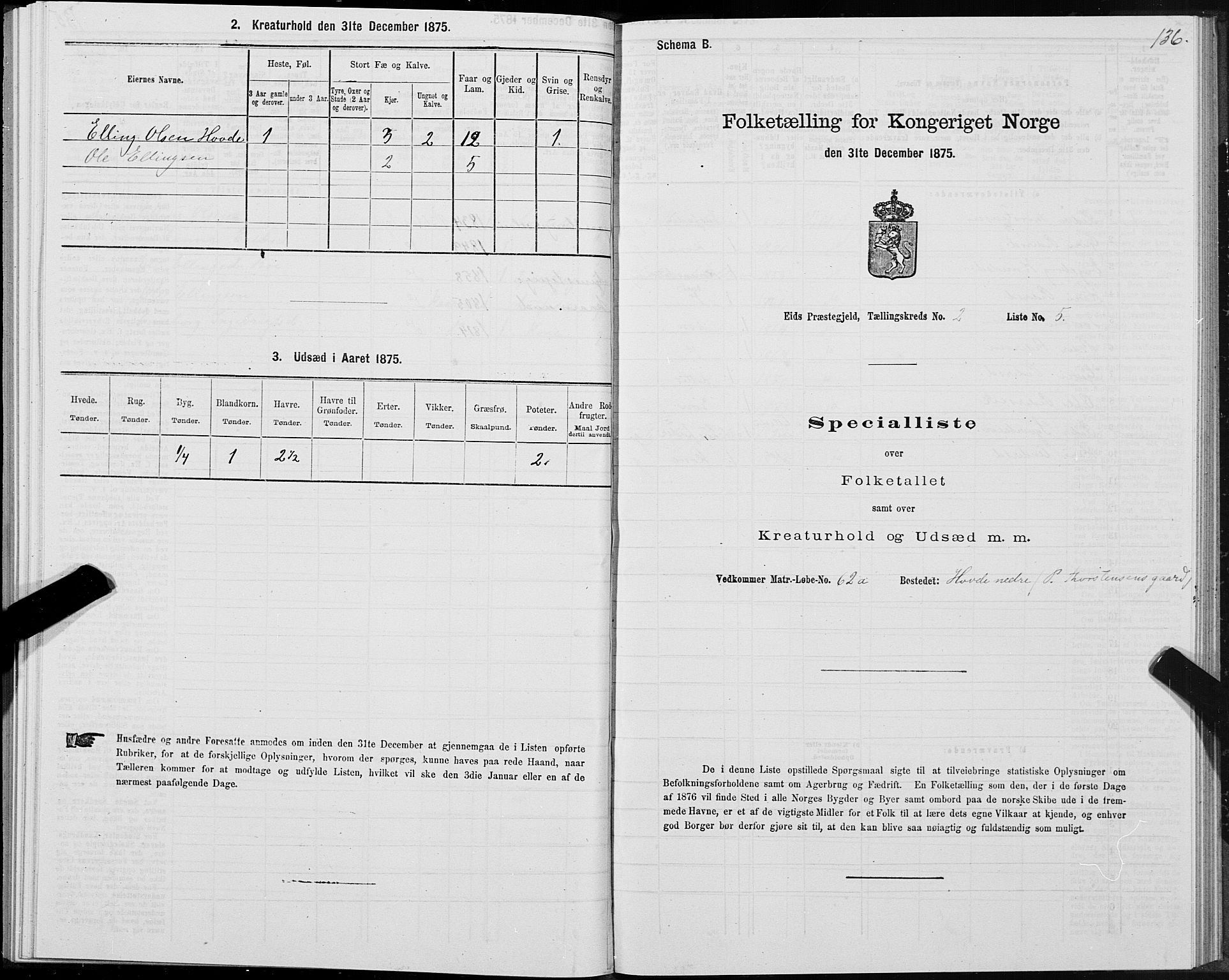 SAT, Folketelling 1875 for 1538P Eid prestegjeld, 1875, s. 1136