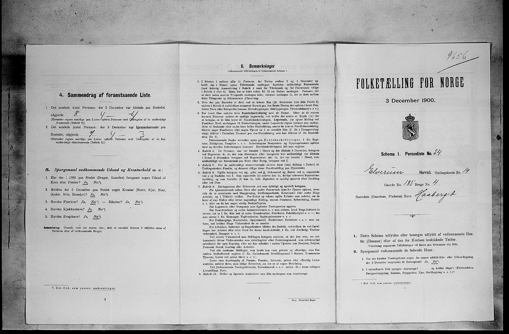 SAH, Folketelling 1900 for 0427 Elverum herred, 1900, s. 2571
