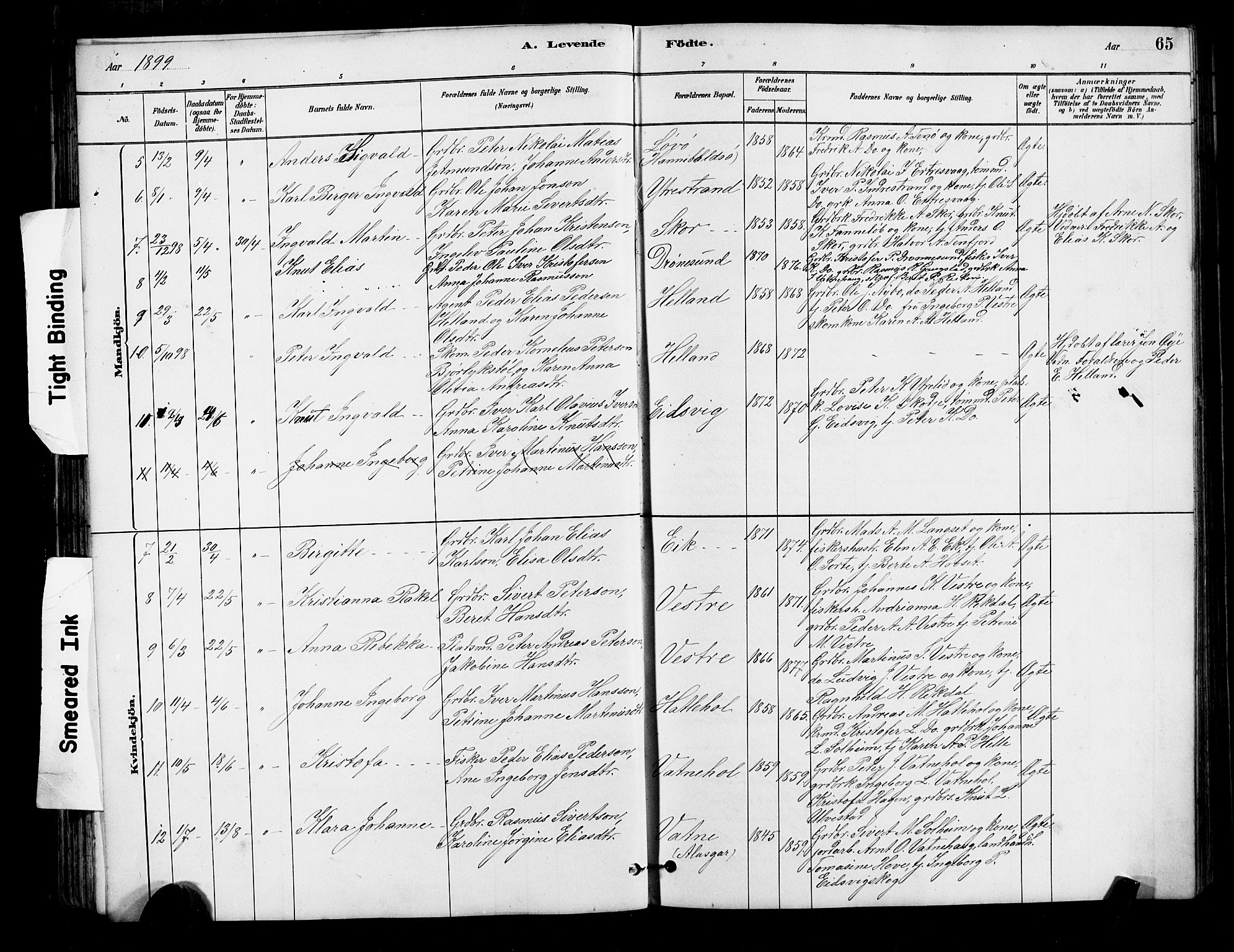 Ministerialprotokoller, klokkerbøker og fødselsregistre - Møre og Romsdal, AV/SAT-A-1454/525/L0376: Klokkerbok nr. 525C02, 1880-1902, s. 65