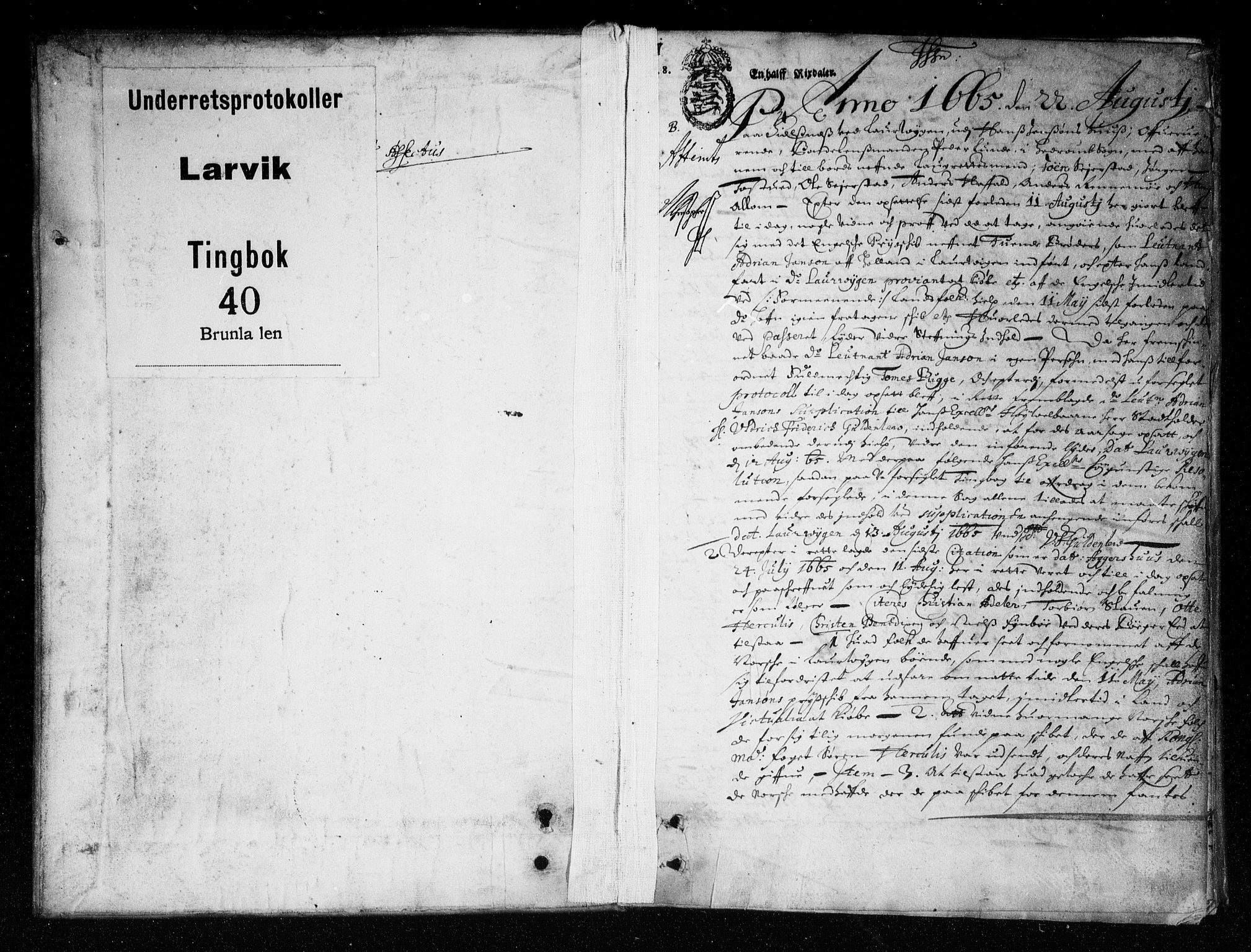 Larvik sorenskriveri, SAKO/A-83/F/Fa/L0001b: Tingbok, 1665-1666