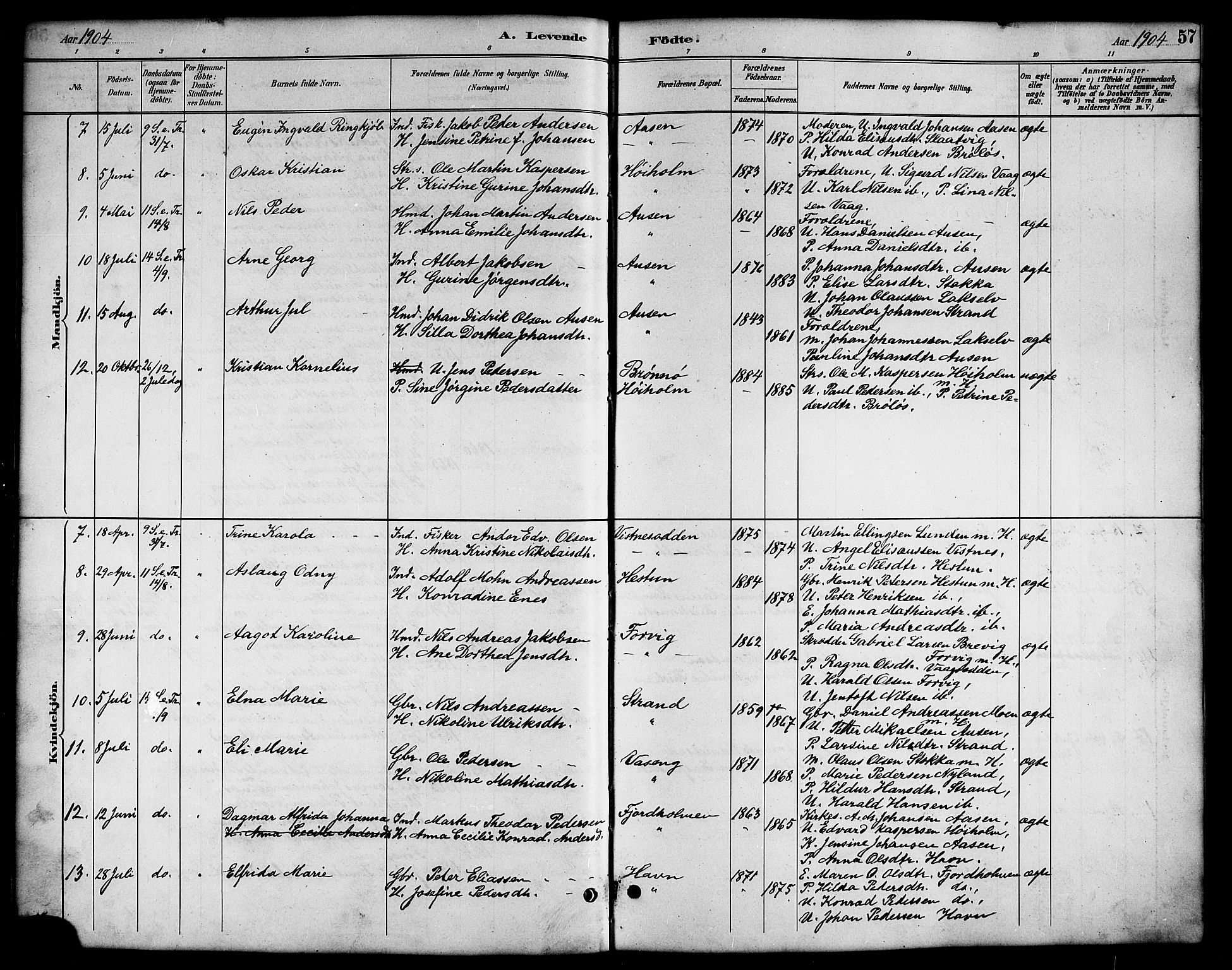 Ministerialprotokoller, klokkerbøker og fødselsregistre - Nordland, SAT/A-1459/819/L0277: Klokkerbok nr. 819C03, 1888-1917, s. 57