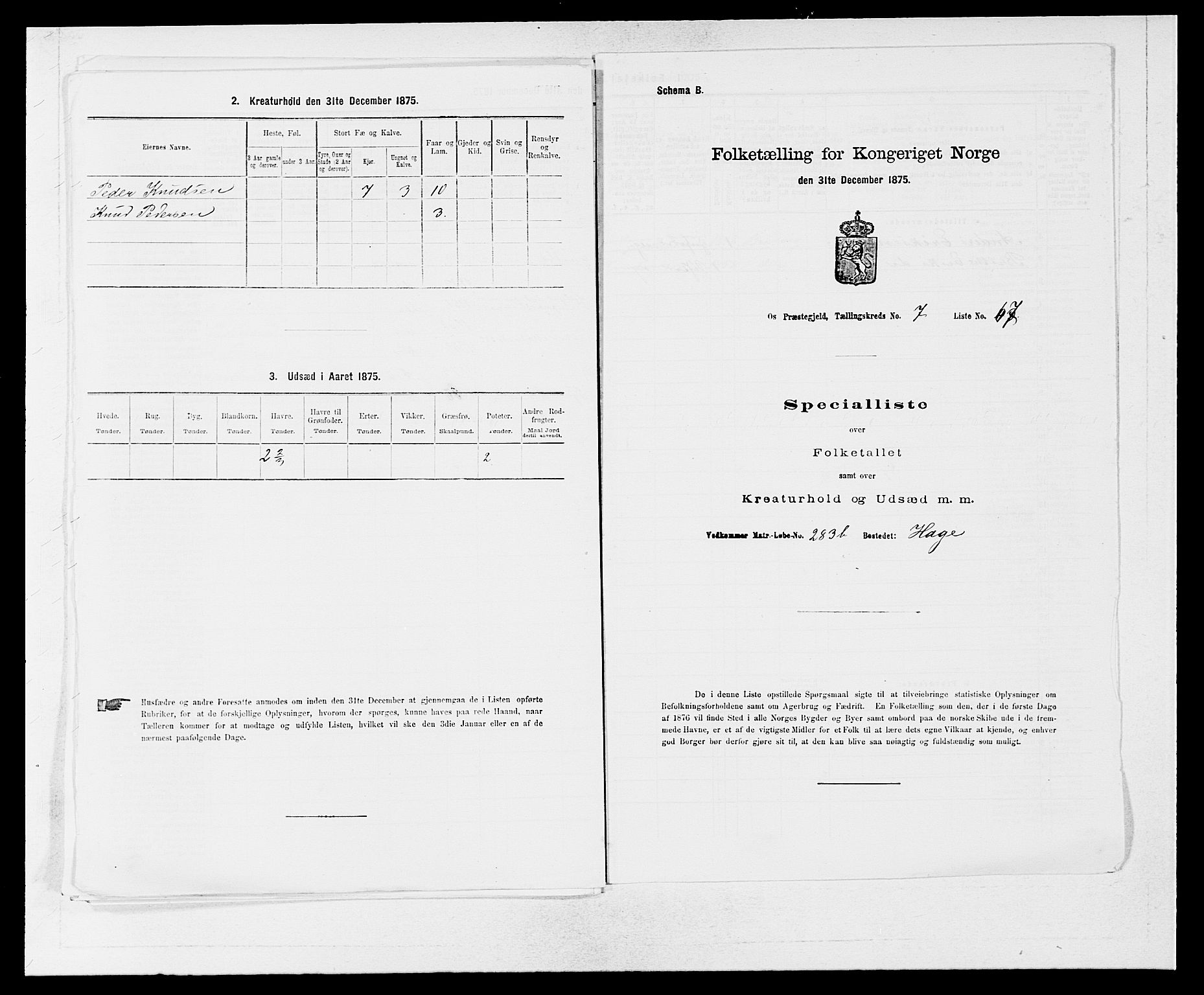 SAB, Folketelling 1875 for 1243P Os prestegjeld, 1875, s. 1033