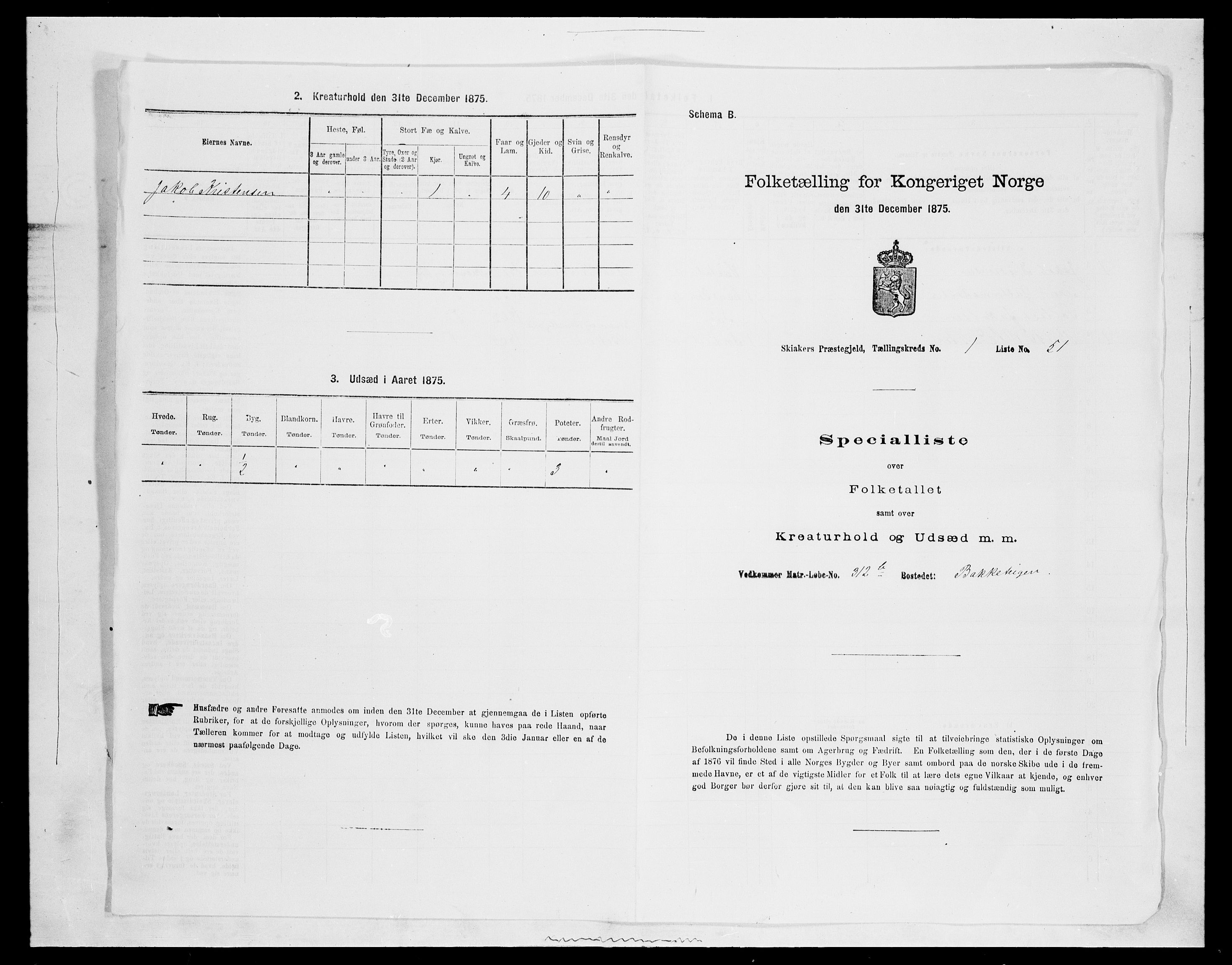 SAH, Folketelling 1875 for 0513P Skjåk prestegjeld, 1875, s. 157