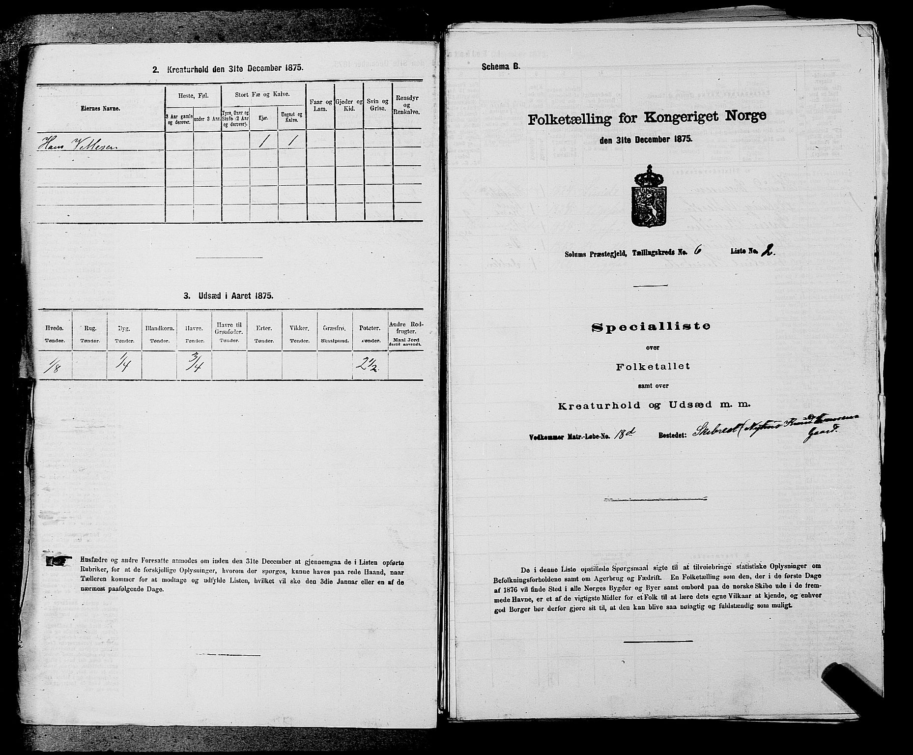 SAKO, Folketelling 1875 for 0818P Solum prestegjeld, 1875, s. 994