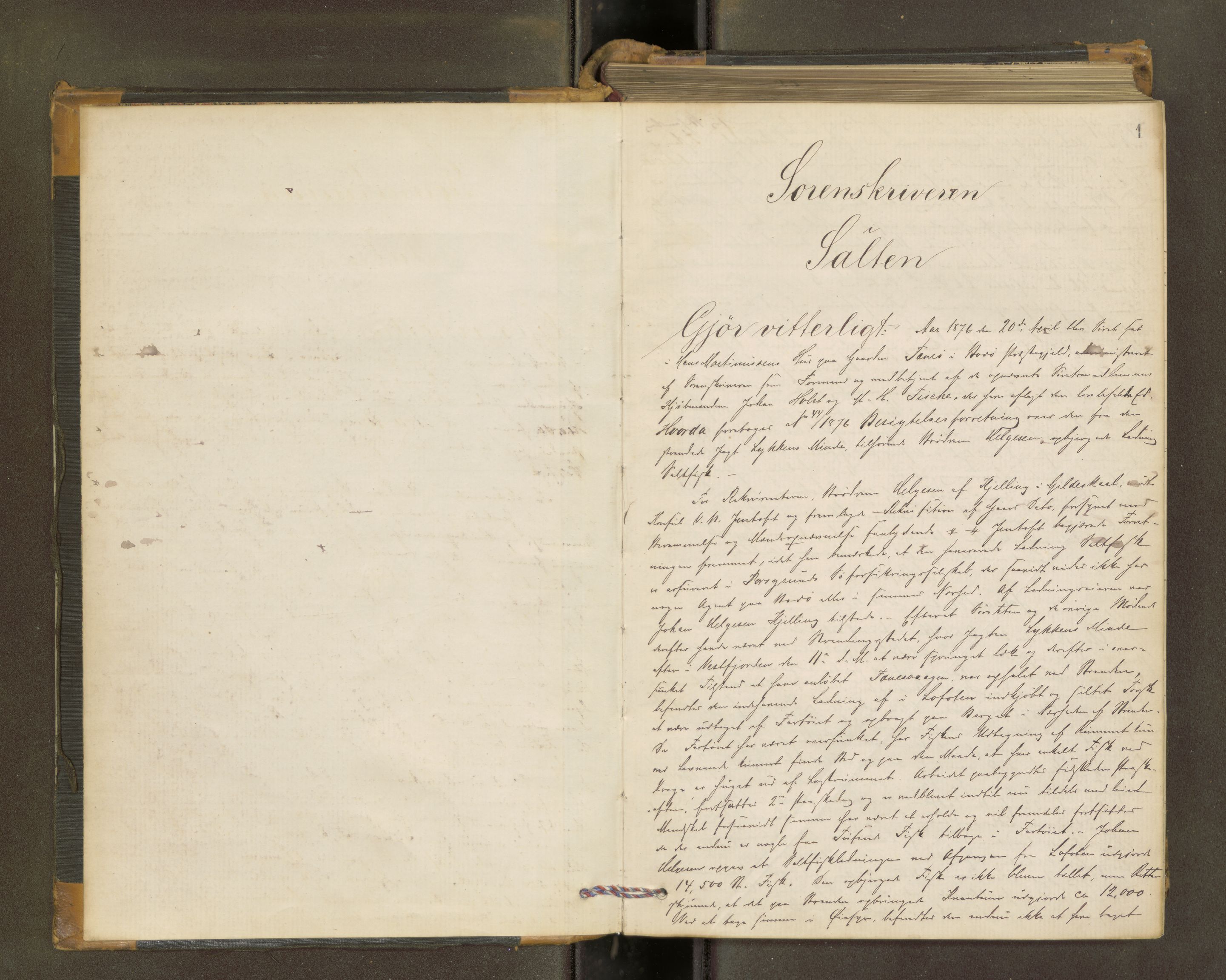 Salten sorenskriveri, AV/SAT-A-4578/1/1/1B/L0021: Ekstrarettsprot. nr. 19, 1876-1881, s. 1a