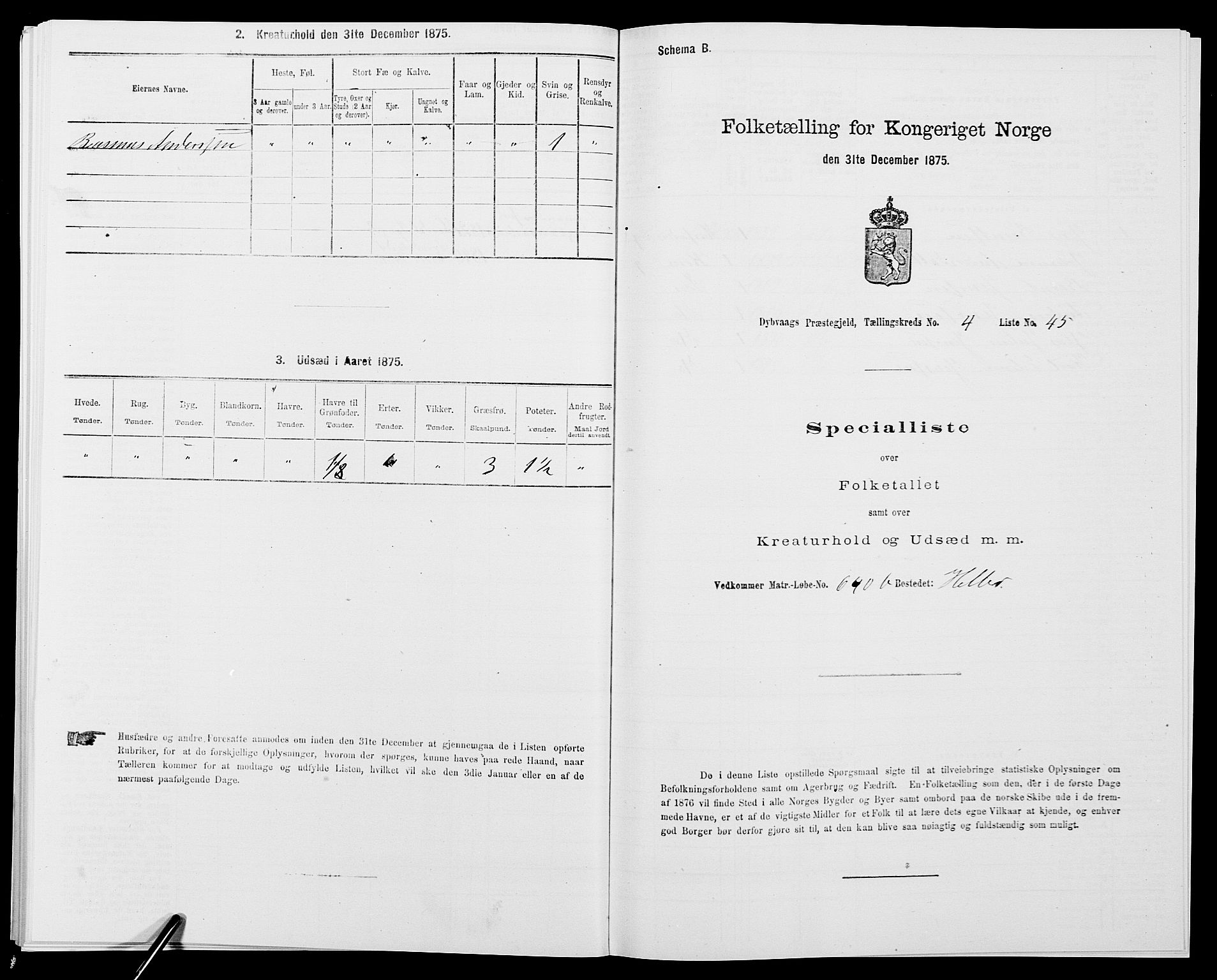 SAK, Folketelling 1875 for 0915P Dypvåg prestegjeld, 1875, s. 523