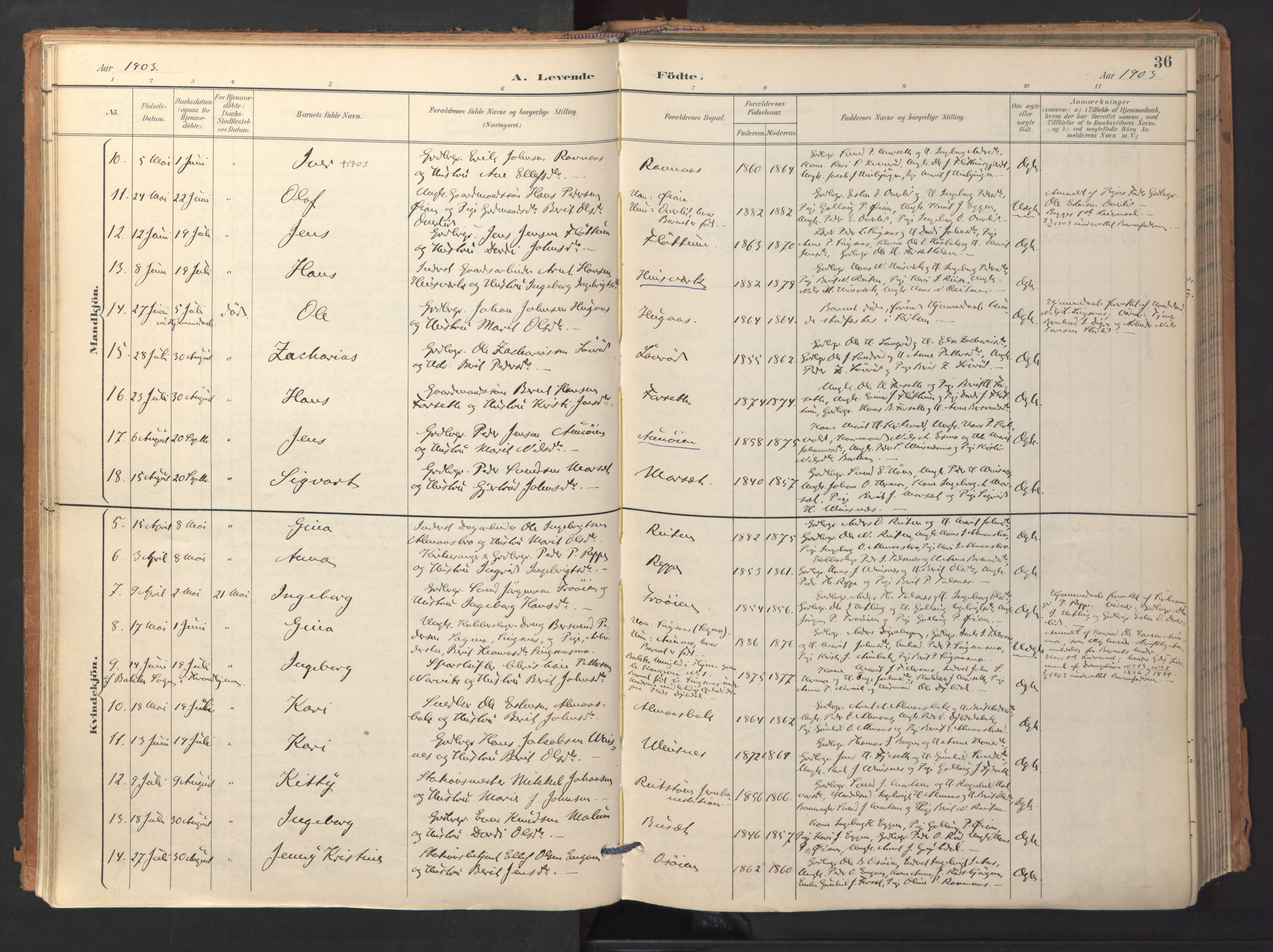 Ministerialprotokoller, klokkerbøker og fødselsregistre - Sør-Trøndelag, AV/SAT-A-1456/688/L1025: Ministerialbok nr. 688A02, 1891-1909, s. 36
