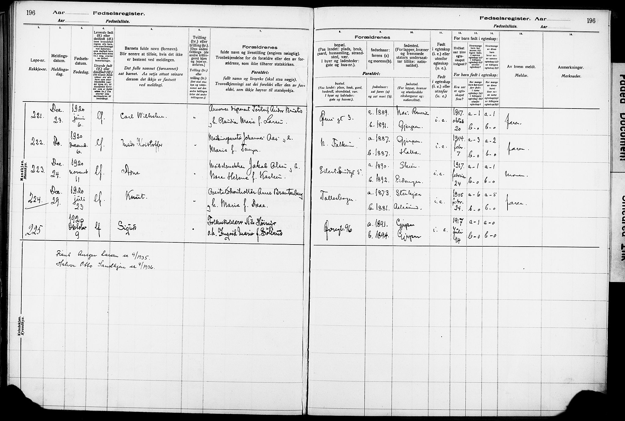 Skien kirkebøker, AV/SAKO-A-302/J/Ja/L0001: Fødselsregister nr. 1, 1916-1920, s. 196