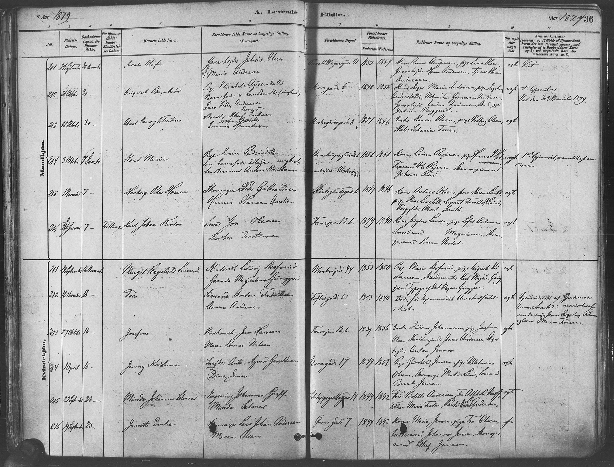 Paulus prestekontor Kirkebøker, AV/SAO-A-10871/F/Fa/L0003: Ministerialbok nr. 3, 1879-1887, s. 36
