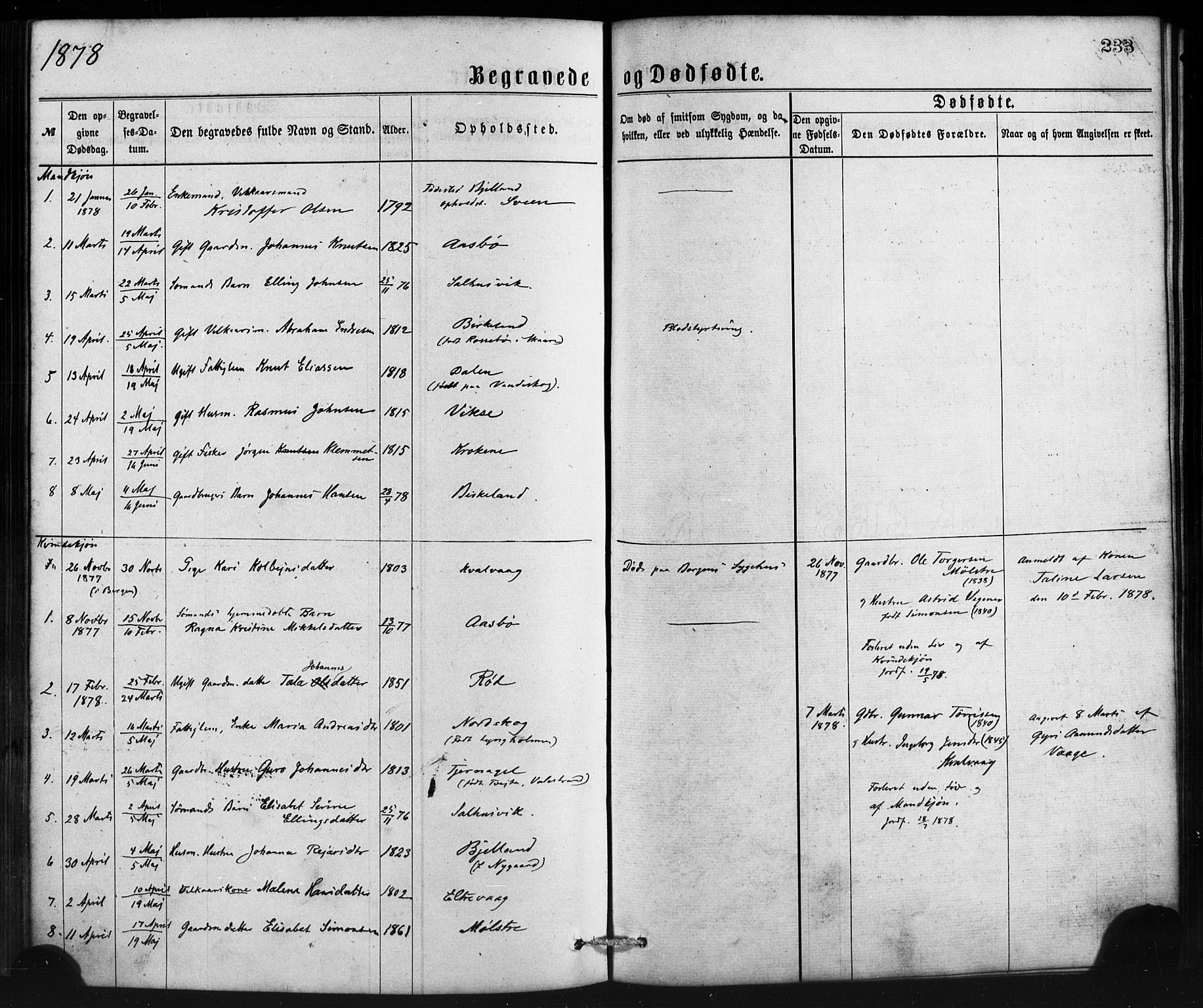 Sveio Sokneprestembete, AV/SAB-A-78501/H/Haa: Ministerialbok nr. B 1, 1870-1883, s. 233