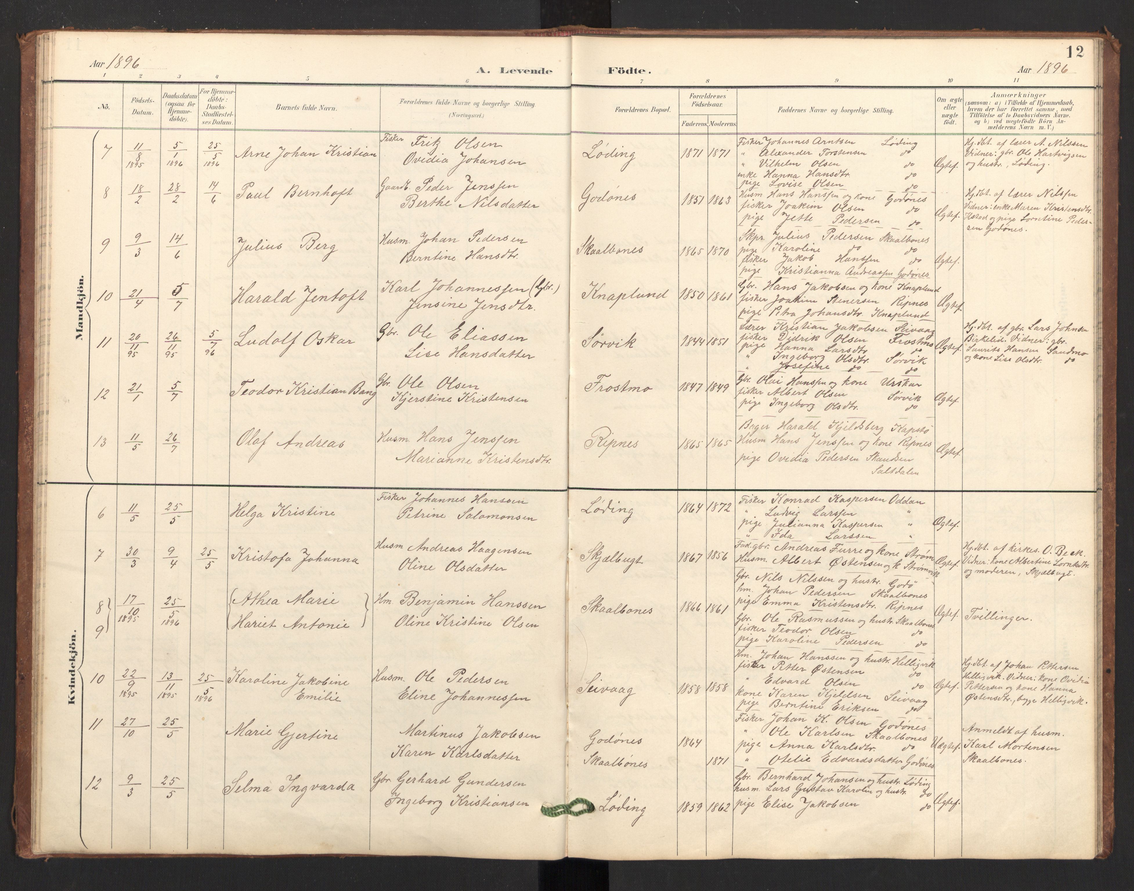 Ministerialprotokoller, klokkerbøker og fødselsregistre - Nordland, SAT/A-1459/804/L0087: Ministerialbok nr. 804A08, 1894-1907, s. 12