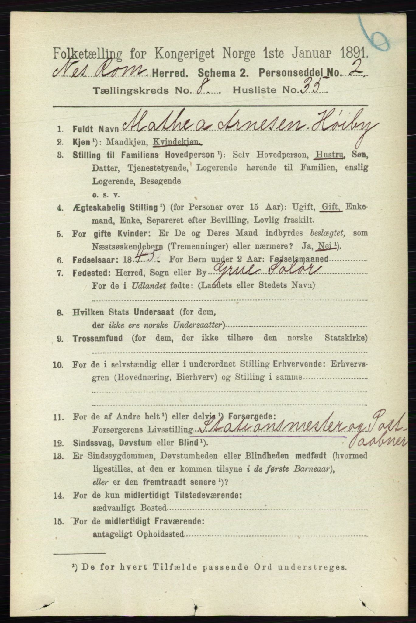 RA, Folketelling 1891 for 0236 Nes herred, 1891, s. 4825