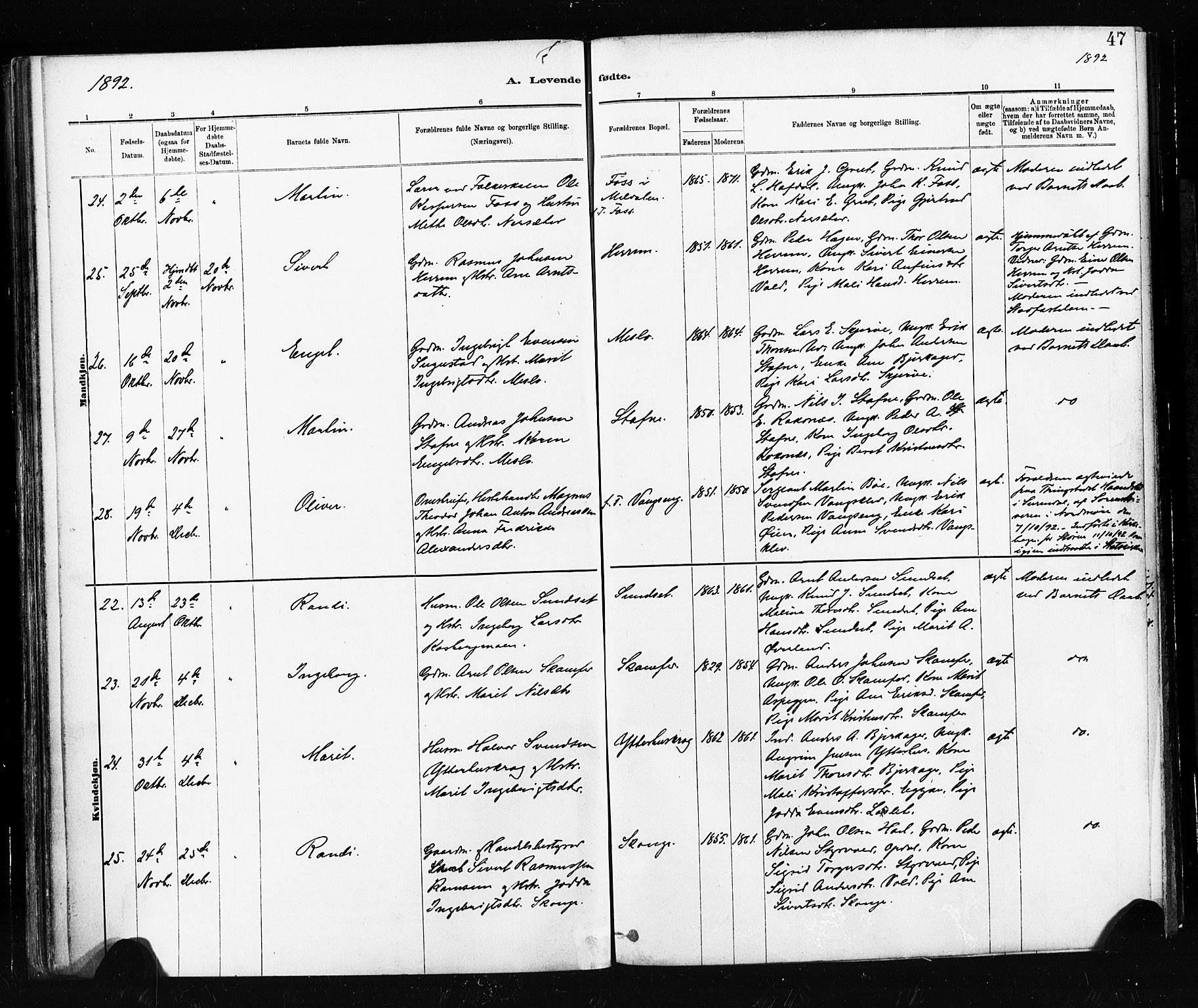 Ministerialprotokoller, klokkerbøker og fødselsregistre - Sør-Trøndelag, SAT/A-1456/674/L0871: Ministerialbok nr. 674A03, 1880-1896, s. 47