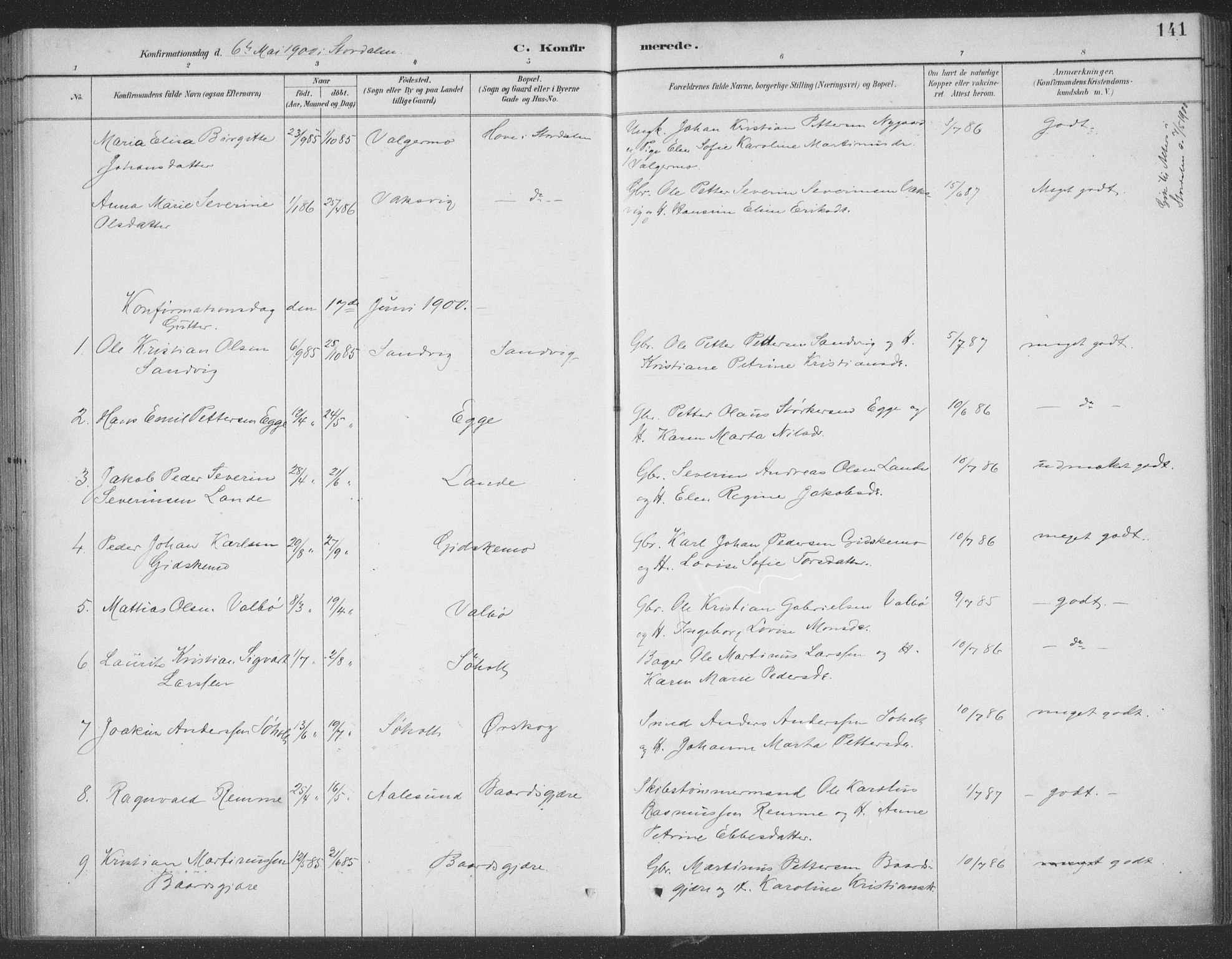 Ministerialprotokoller, klokkerbøker og fødselsregistre - Møre og Romsdal, SAT/A-1454/522/L0316: Ministerialbok nr. 522A11, 1890-1911, s. 141