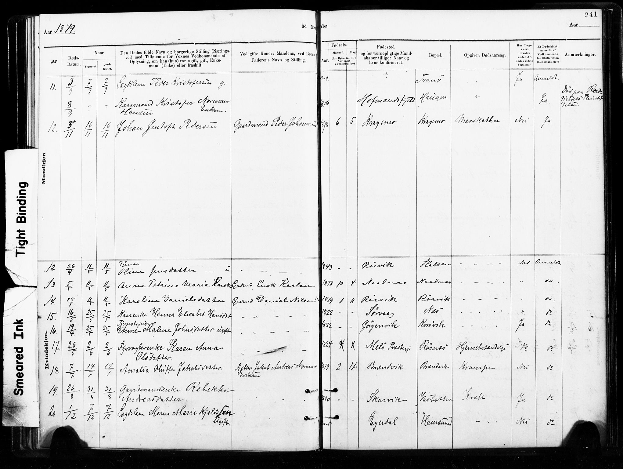 Ministerialprotokoller, klokkerbøker og fødselsregistre - Nordland, AV/SAT-A-1459/859/L0846: Ministerialbok nr. 859A06, 1878-1889, s. 241