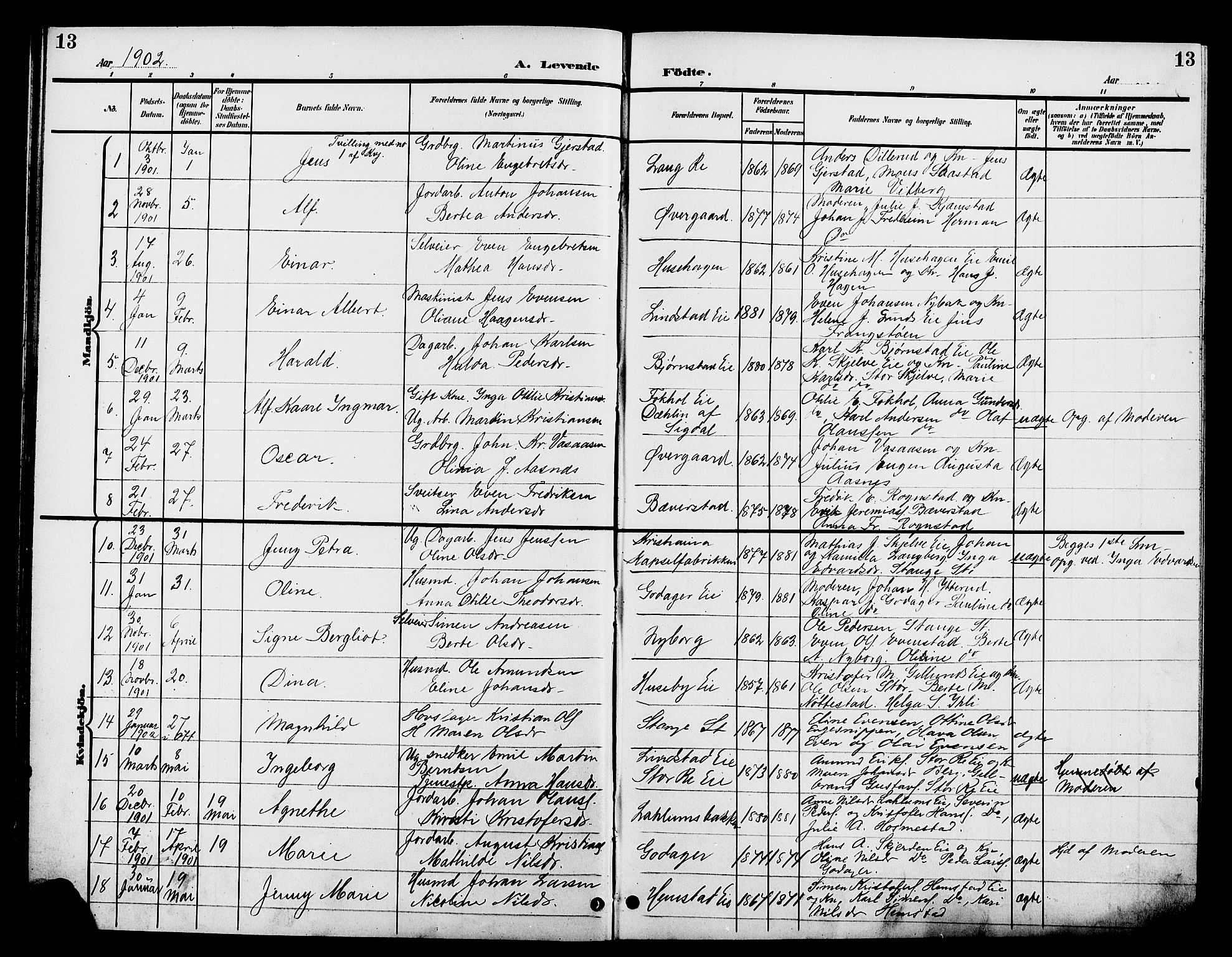 Stange prestekontor, AV/SAH-PREST-002/L/L0012: Klokkerbok nr. 12, 1900-1908, s. 13
