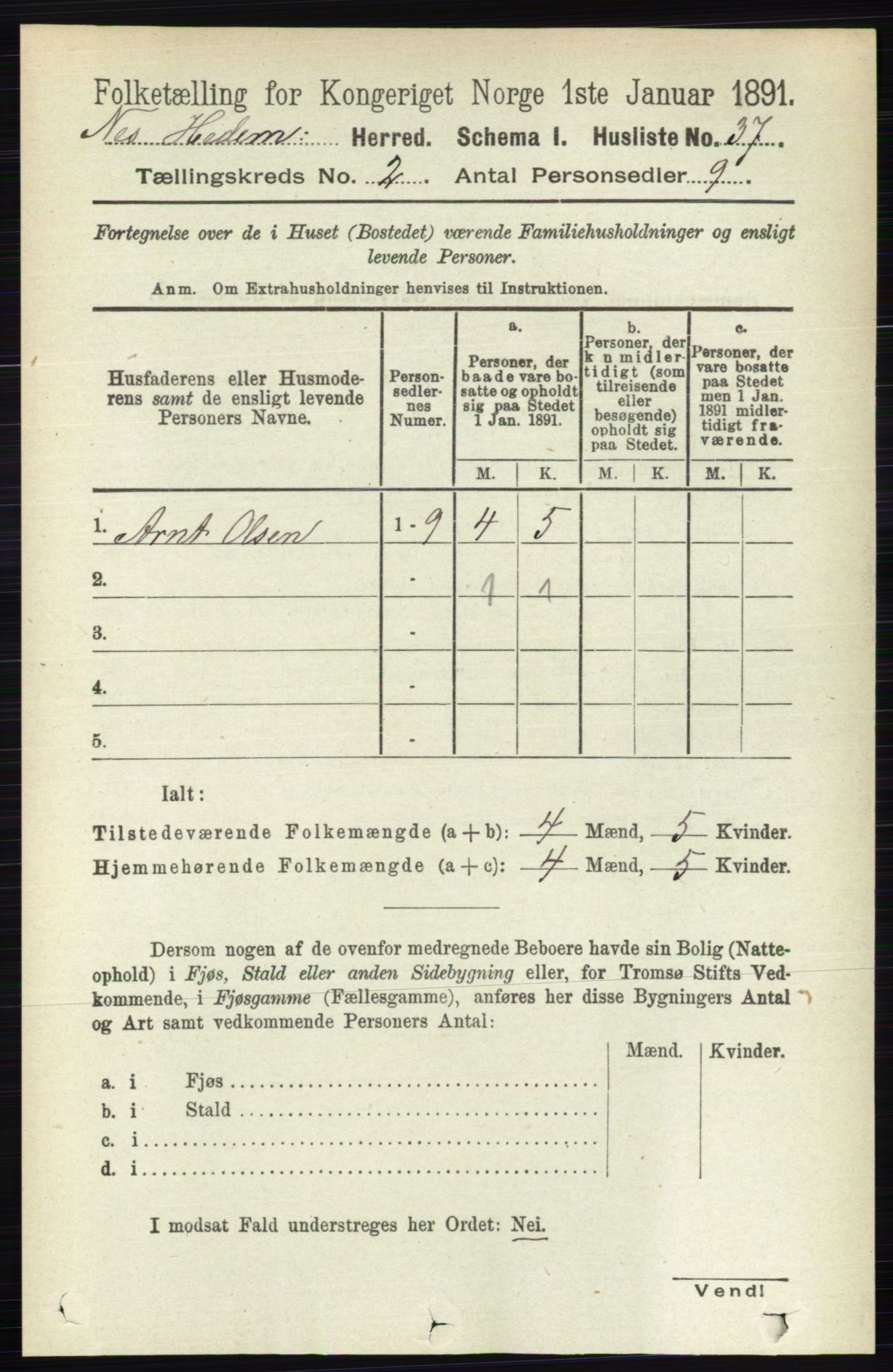 RA, Folketelling 1891 for 0411 Nes herred, 1891, s. 1041
