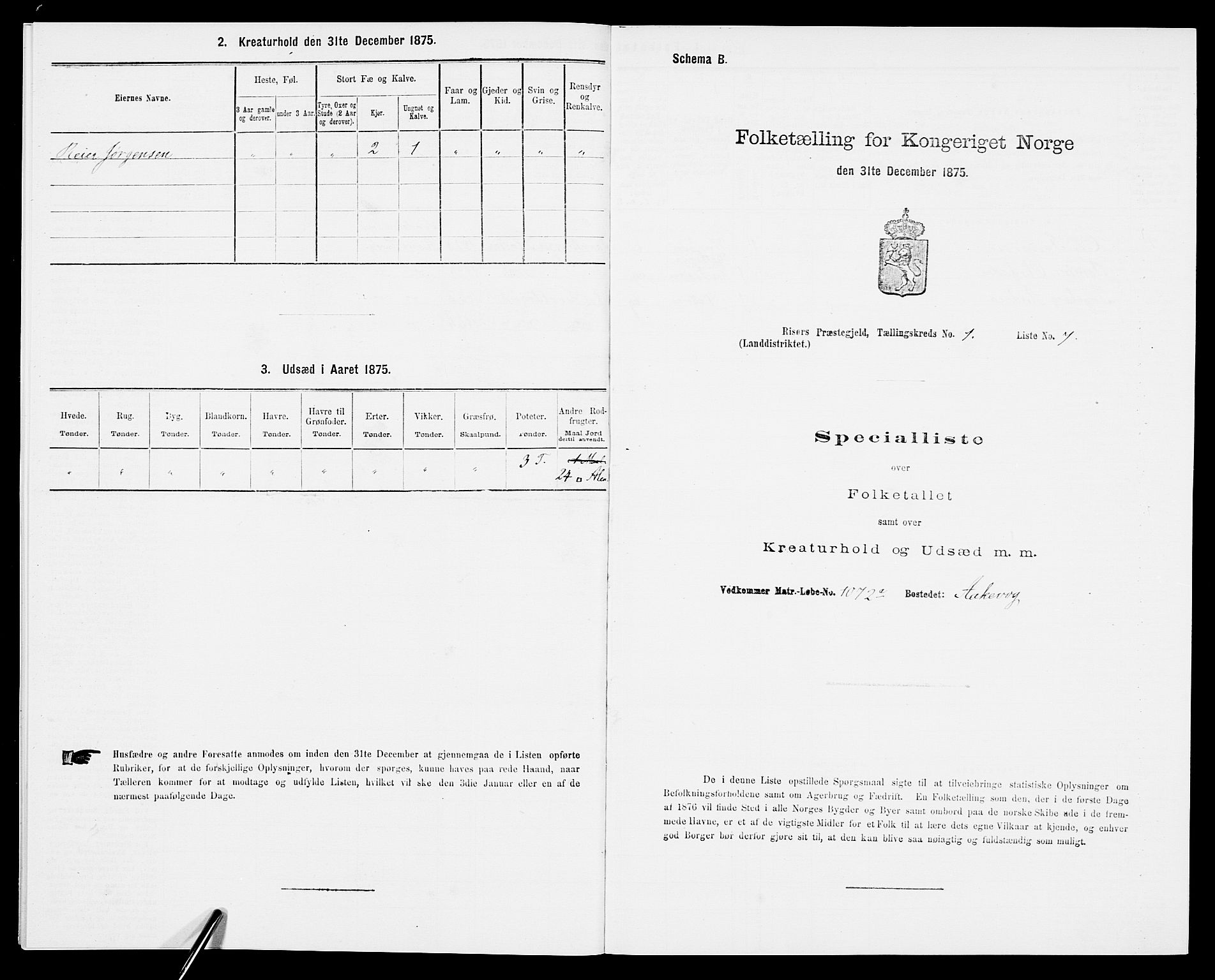 SAK, Folketelling 1875 for 0913L Risør prestegjeld, Søndeled sokn, 1875, s. 62