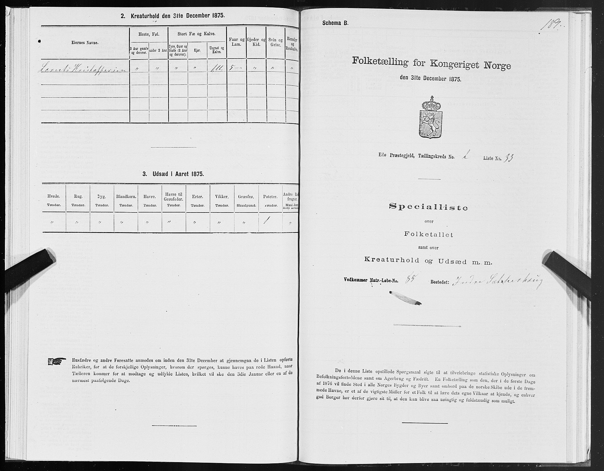 SAT, Folketelling 1875 for 1573P Edøy prestegjeld, 1875, s. 1189