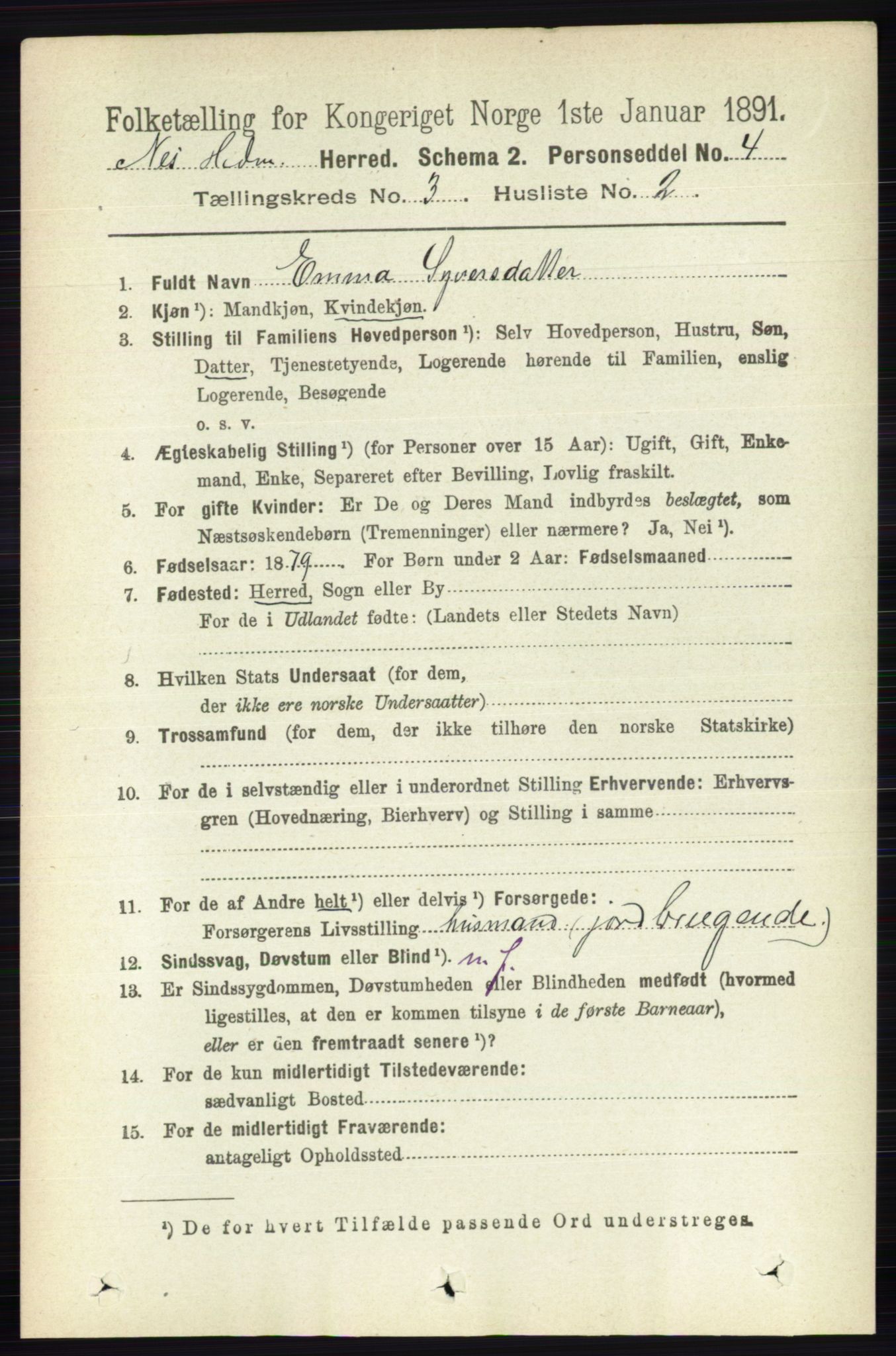 RA, Folketelling 1891 for 0411 Nes herred, 1891, s. 1603
