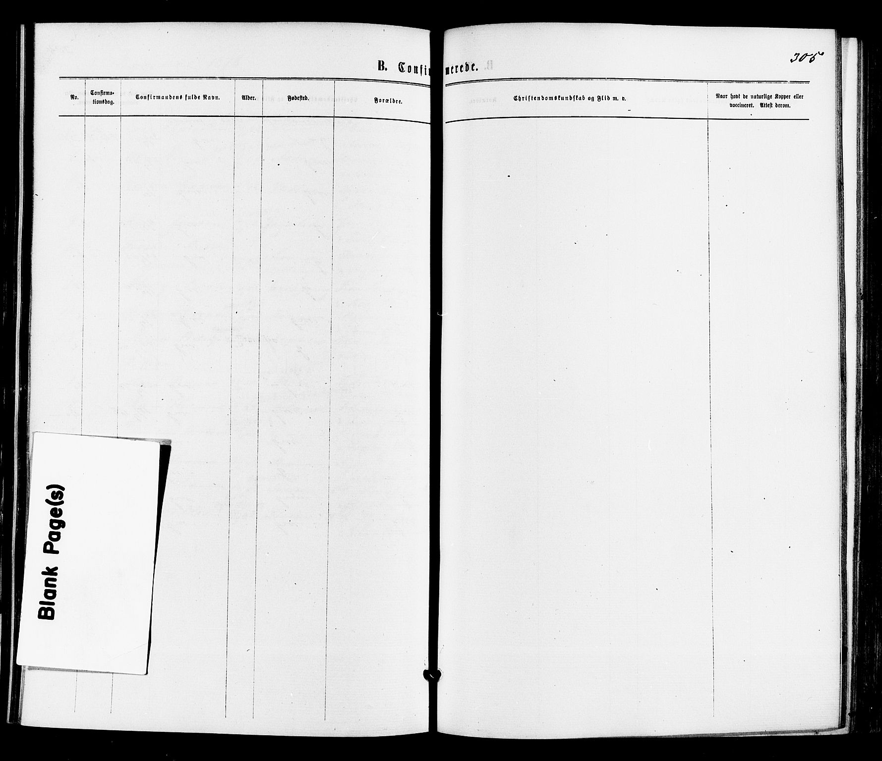 Sigdal kirkebøker, SAKO/A-245/F/Fa/L0010: Ministerialbok nr. I 10 /3, 1872-1878, s. 305