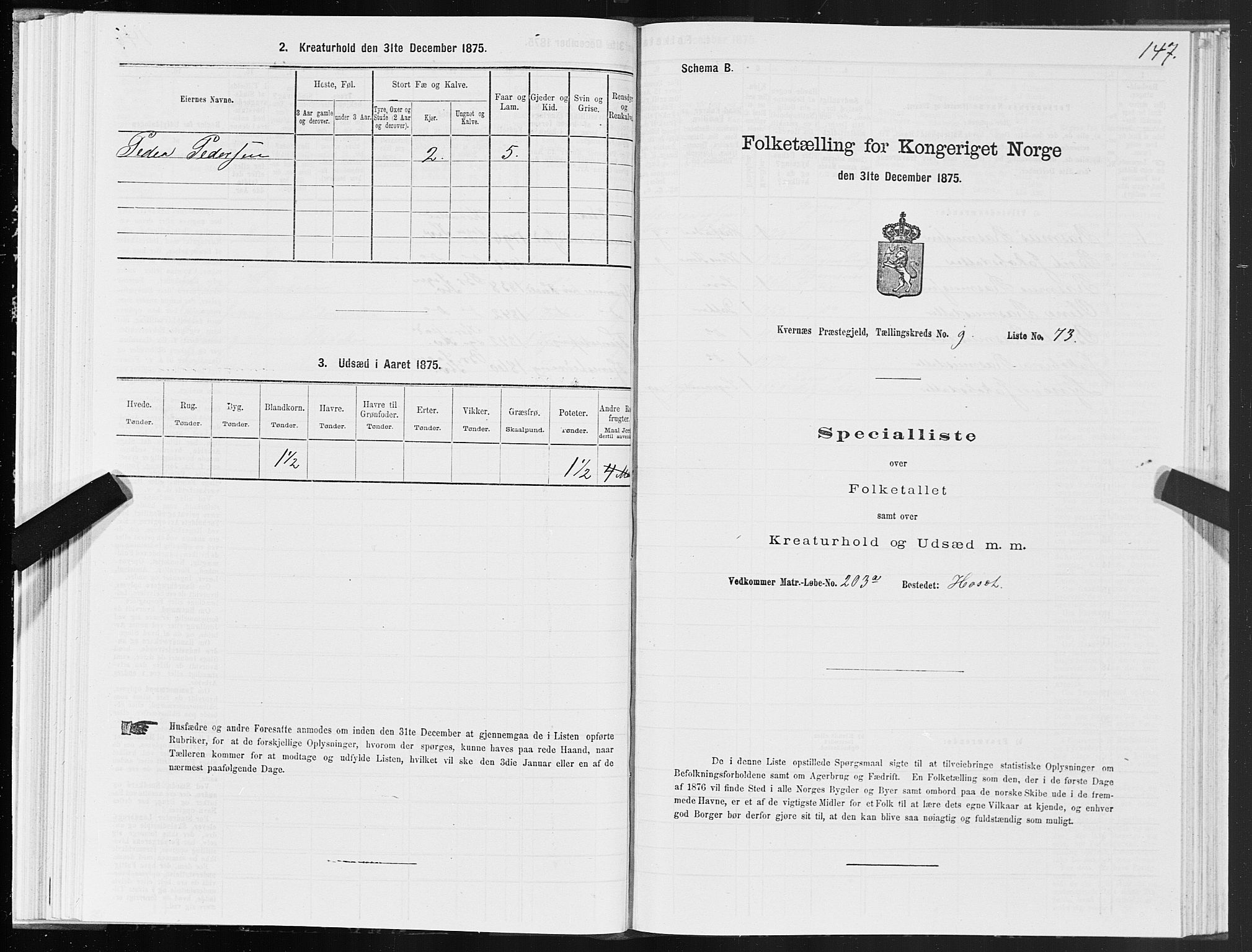 SAT, Folketelling 1875 for 1553P Kvernes prestegjeld, 1875, s. 5147