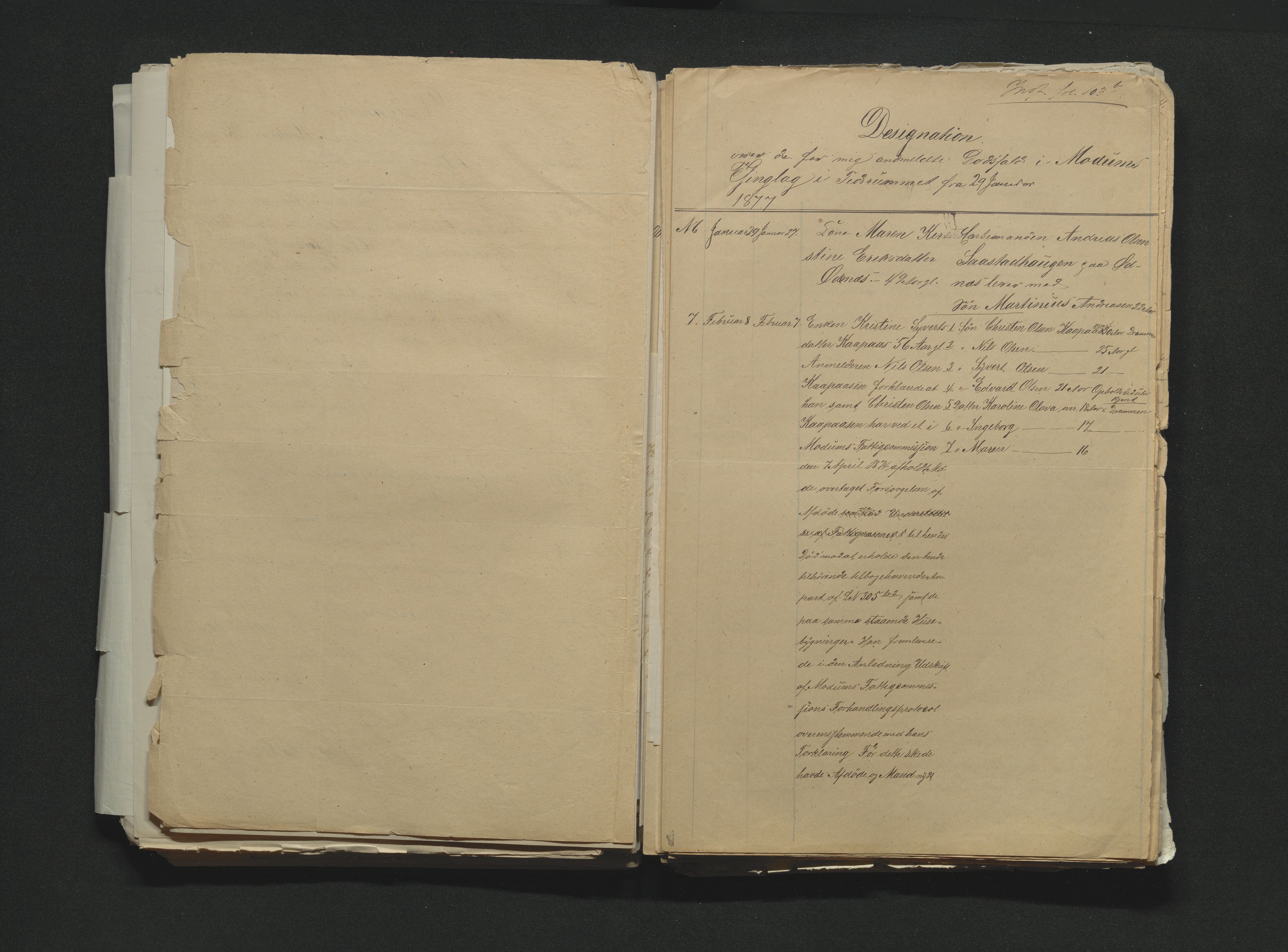 Eiker, Modum og Sigdal sorenskriveri, AV/SAKO-A-123/H/Ha/Hab/L0014: Dødsfallsmeldinger, 1874-1877, s. 638