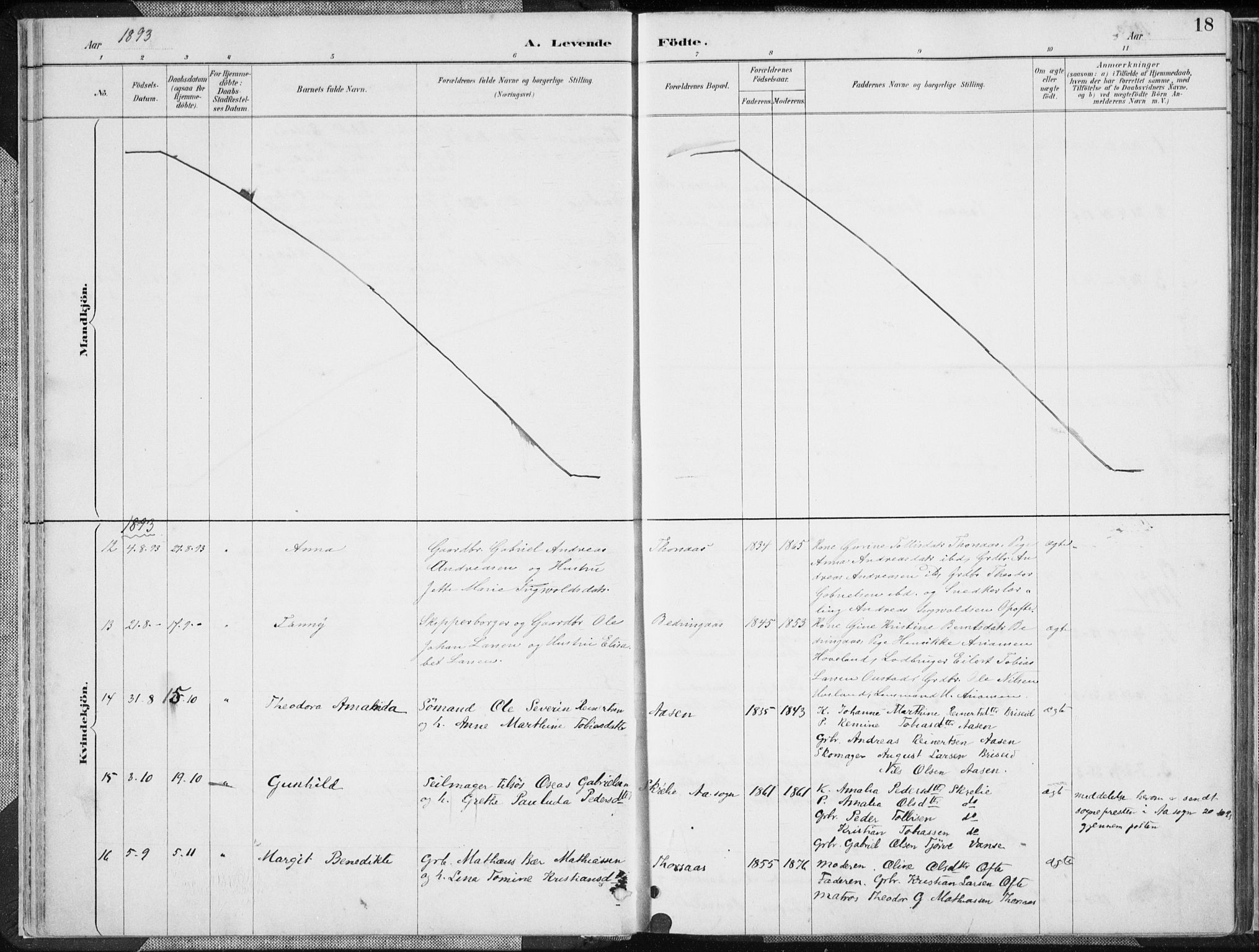 Herad sokneprestkontor, AV/SAK-1111-0018/F/Fa/Faa/L0006: Ministerialbok nr. A 6, 1887-1907, s. 18