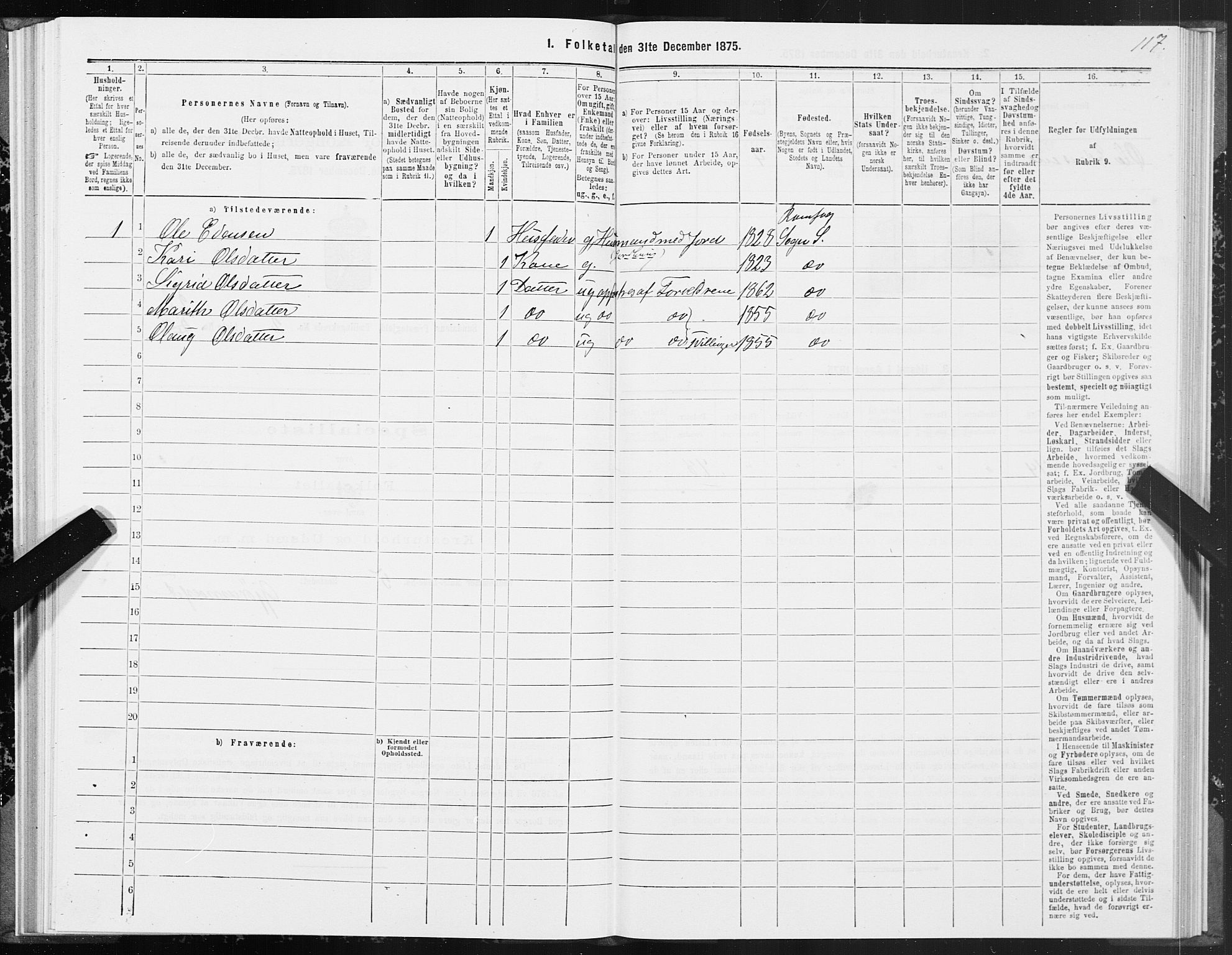 SAT, Folketelling 1875 for 1563P Sunndal prestegjeld, 1875, s. 1117