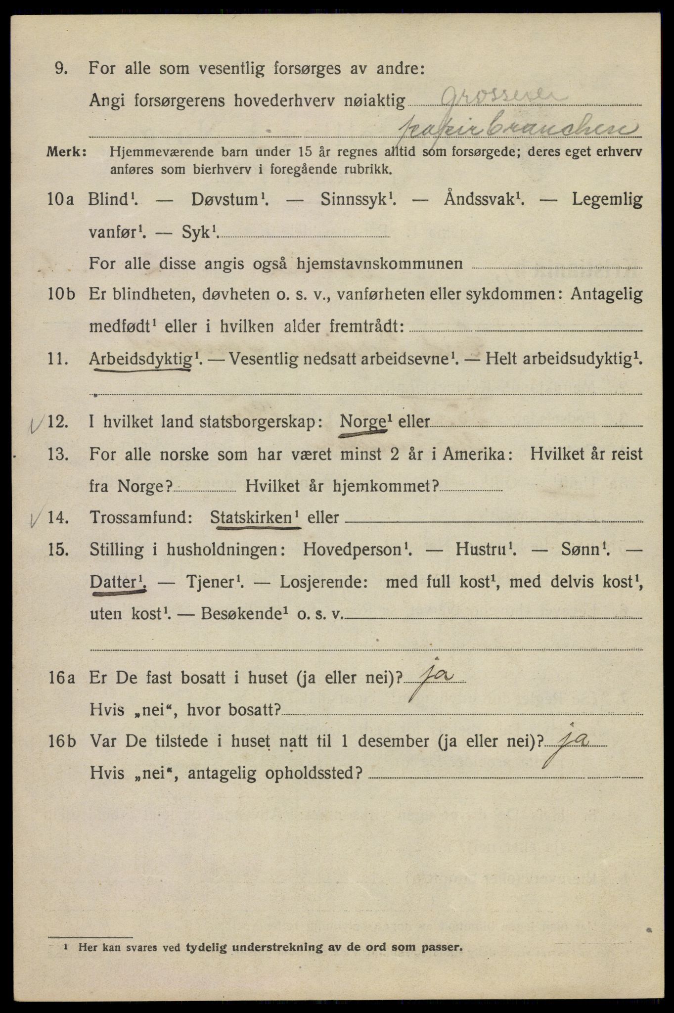 SAO, Folketelling 1920 for 0301 Kristiania kjøpstad, 1920, s. 560528