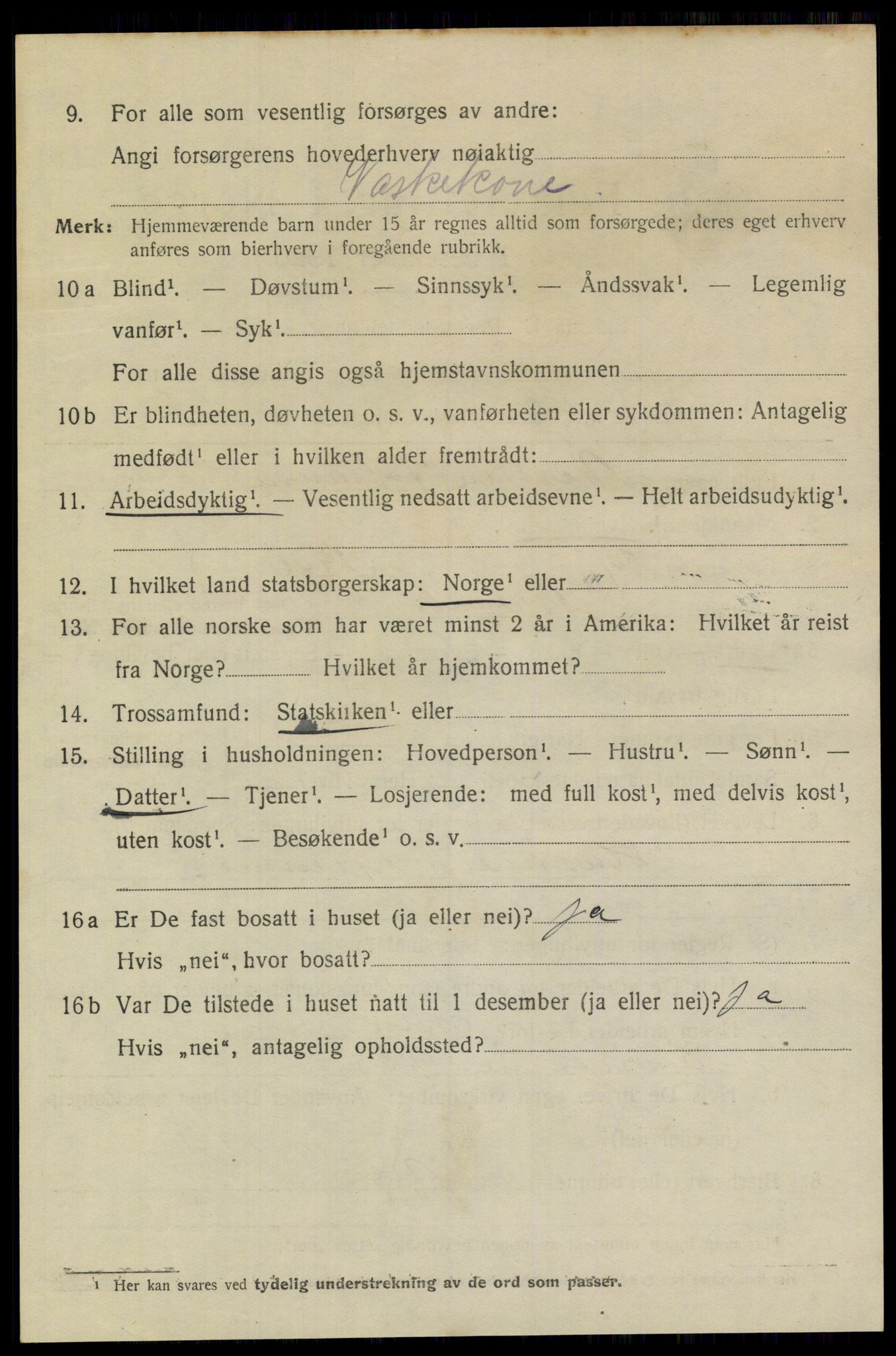 SAKO, Folketelling 1920 for 0804 Brevik kjøpstad, 1920, s. 3873