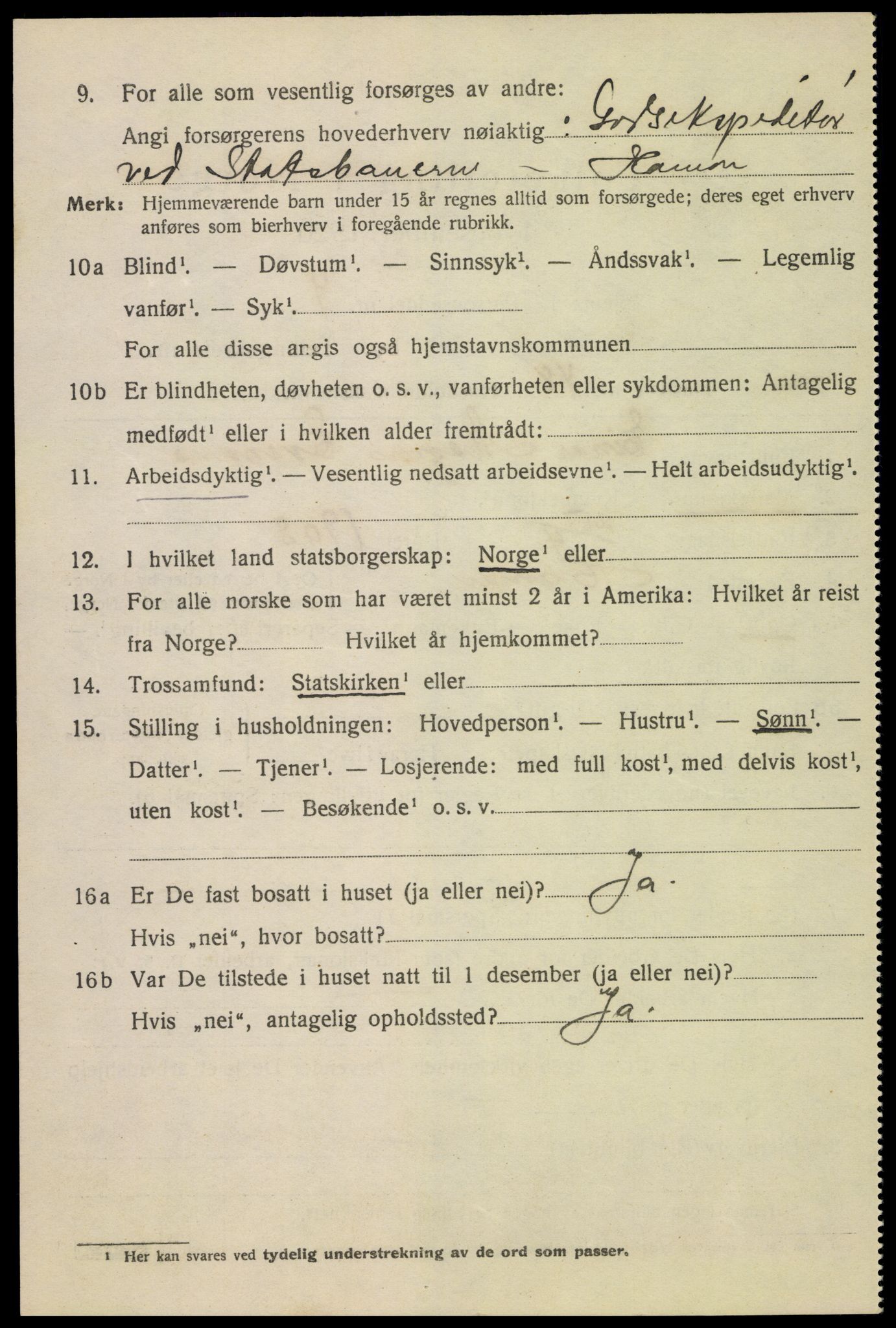 SAH, Folketelling 1920 for 0401 Hamar kjøpstad, 1920, s. 12186