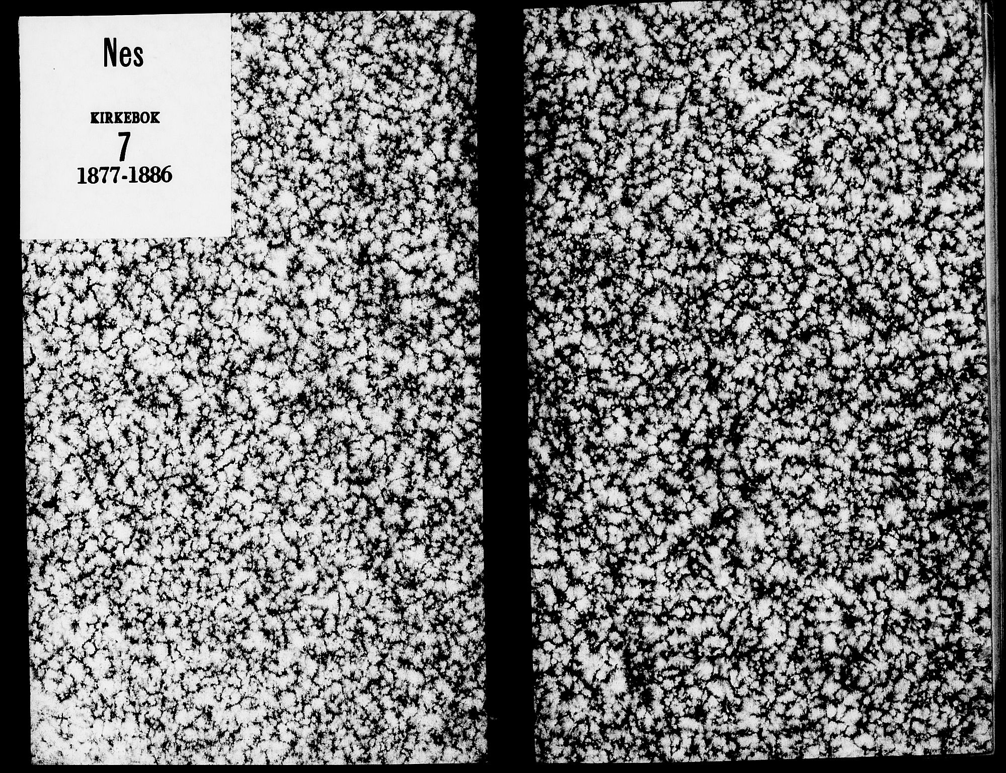 Nes prestekontor, Hedmark, AV/SAH-PREST-020/K/Ka/L0007: Ministerialbok nr. 7, 1877-1886