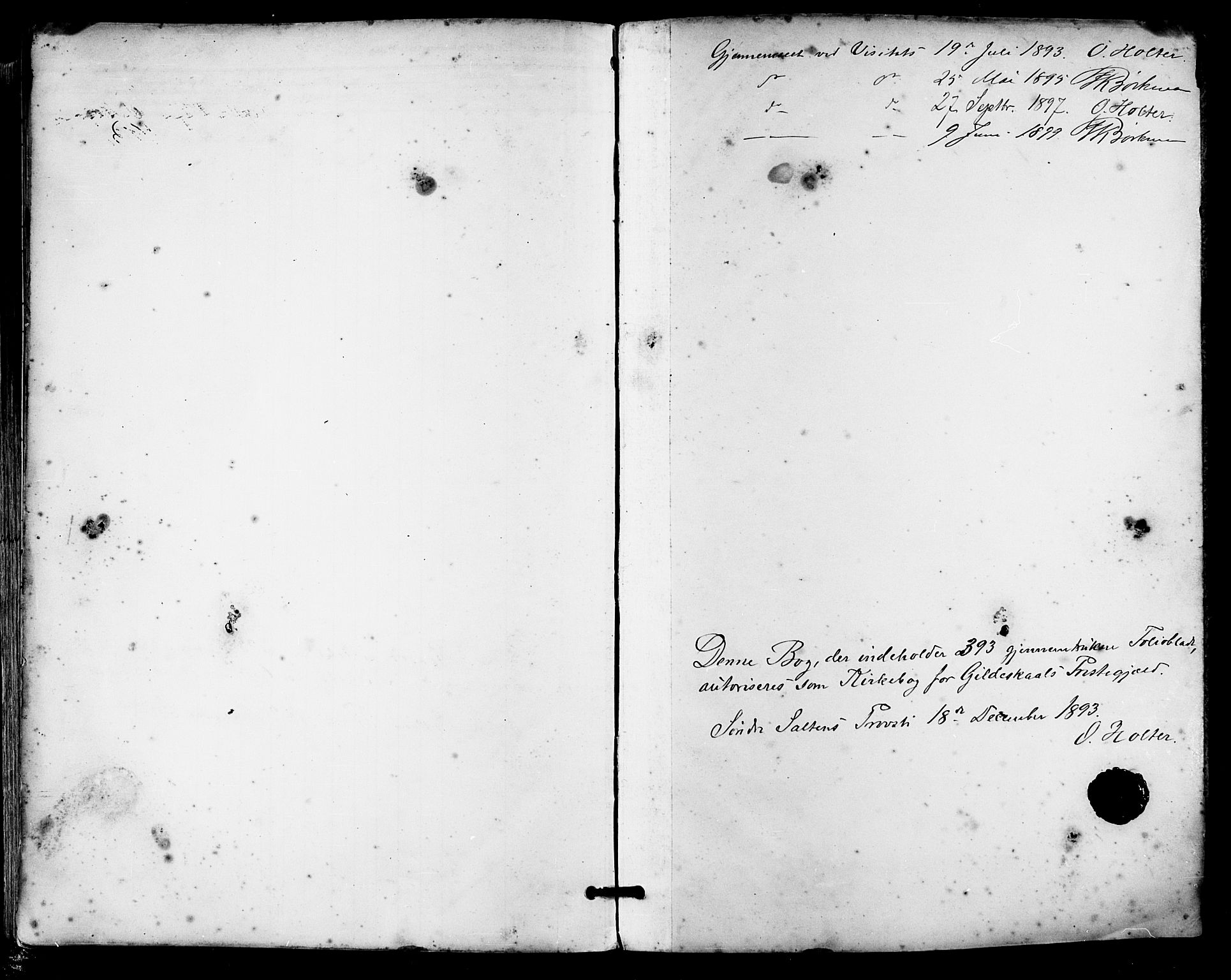 Ministerialprotokoller, klokkerbøker og fødselsregistre - Nordland, AV/SAT-A-1459/805/L0101: Ministerialbok nr. 805A07, 1892-1899