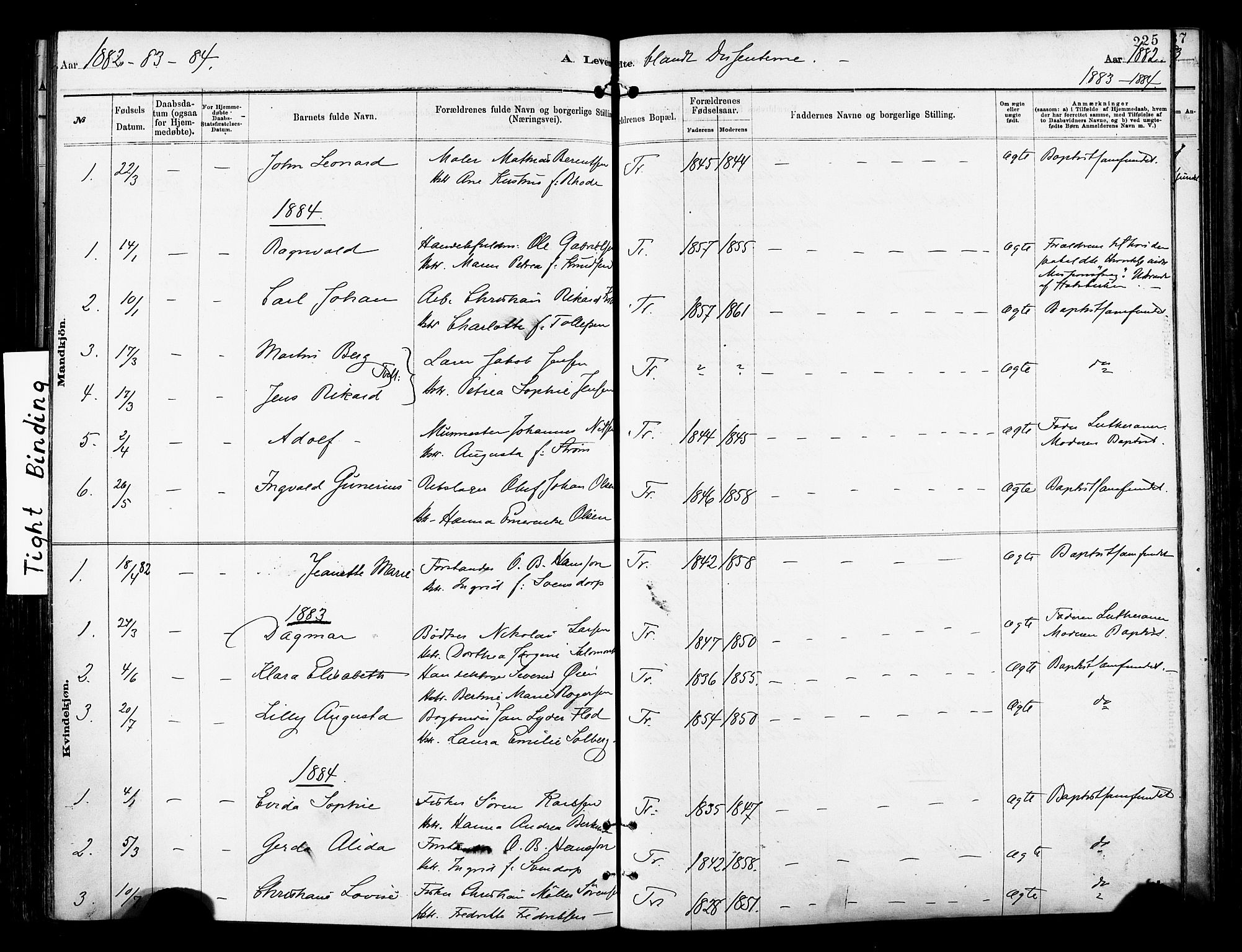 Tromsø sokneprestkontor/stiftsprosti/domprosti, AV/SATØ-S-1343/G/Ga/L0014kirke: Ministerialbok nr. 14, 1878-1888, s. 225
